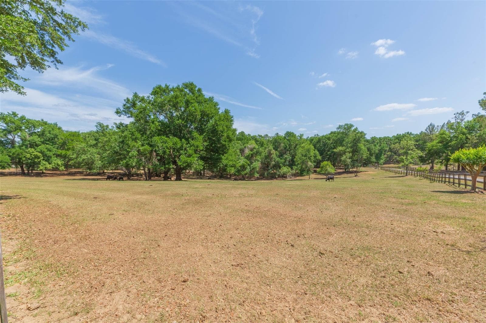 Single Family Residence at 34211 BLANTON RD, DADE CITY, photo 87 of 100