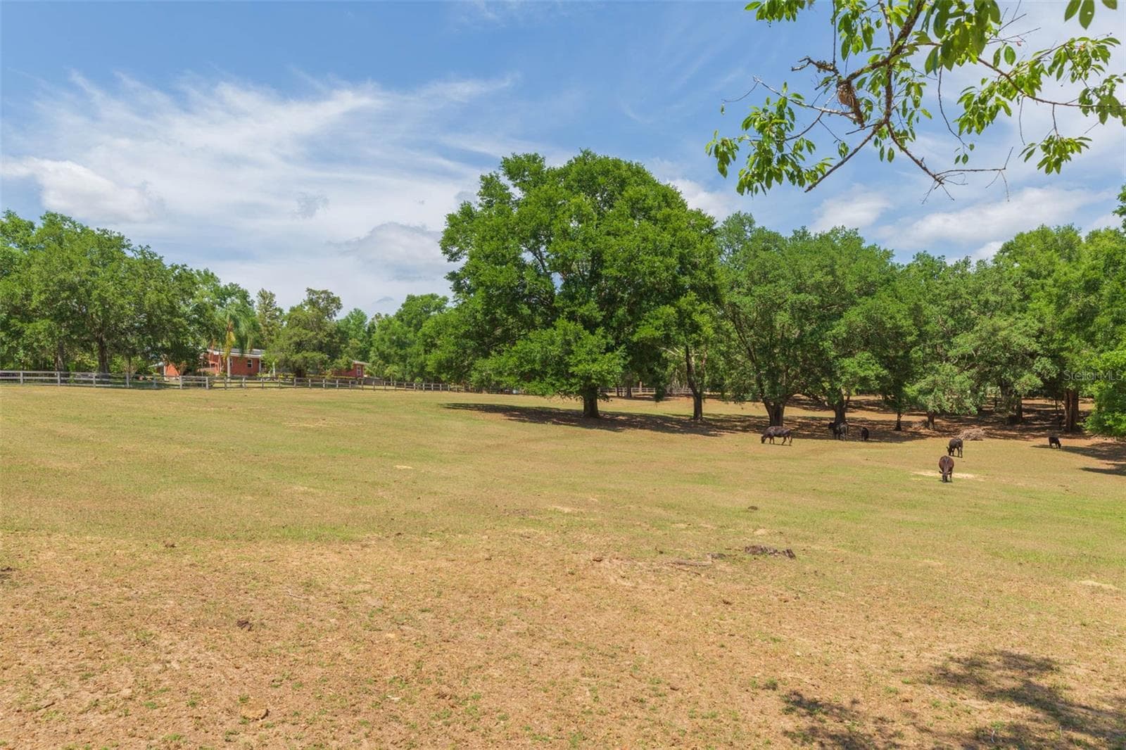 Single Family Residence at 34211 BLANTON RD, DADE CITY, photo 90 of 100