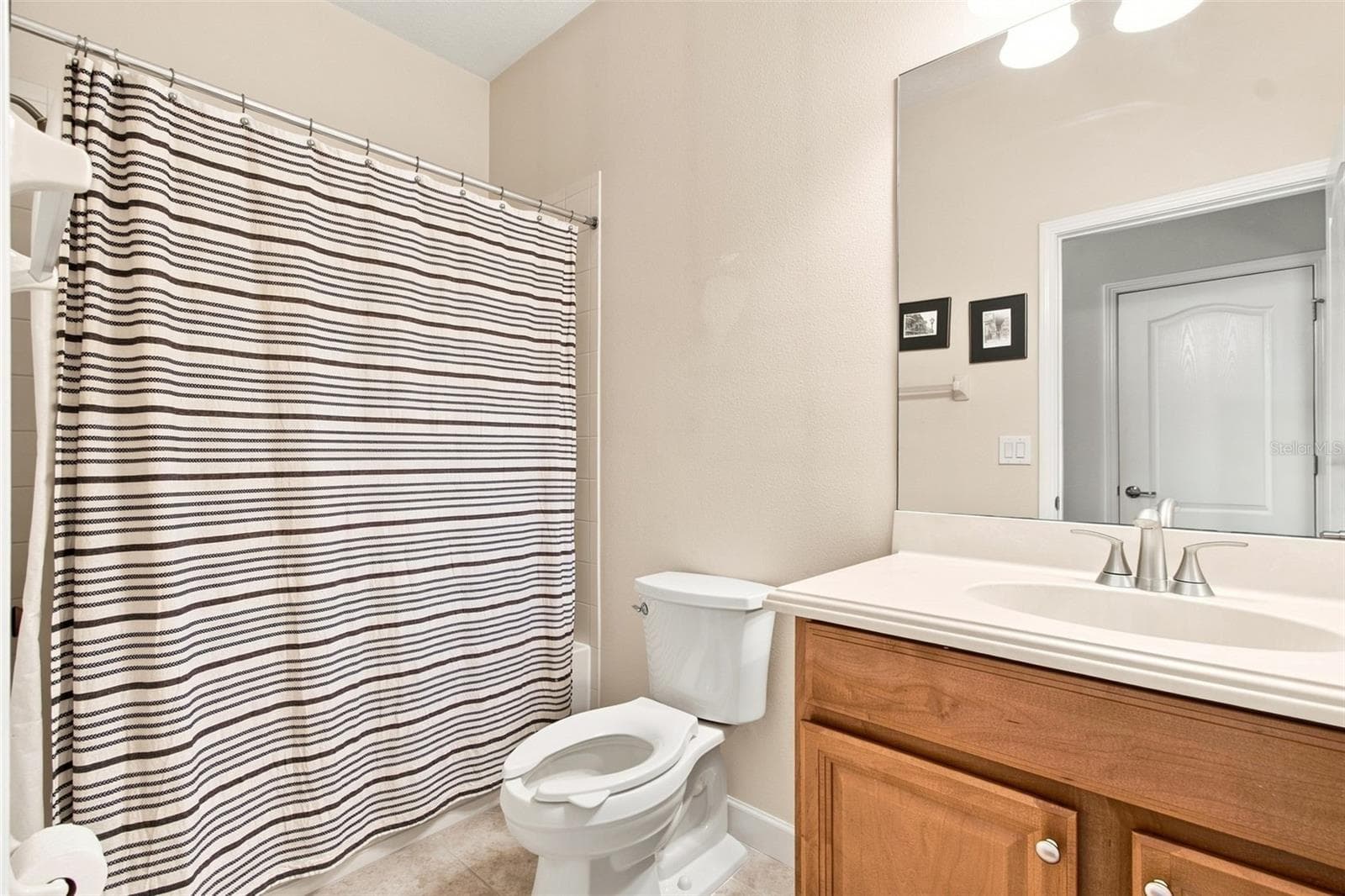 Hall Bathroom - 20233 MERRY OAK AVE, TAMPA
