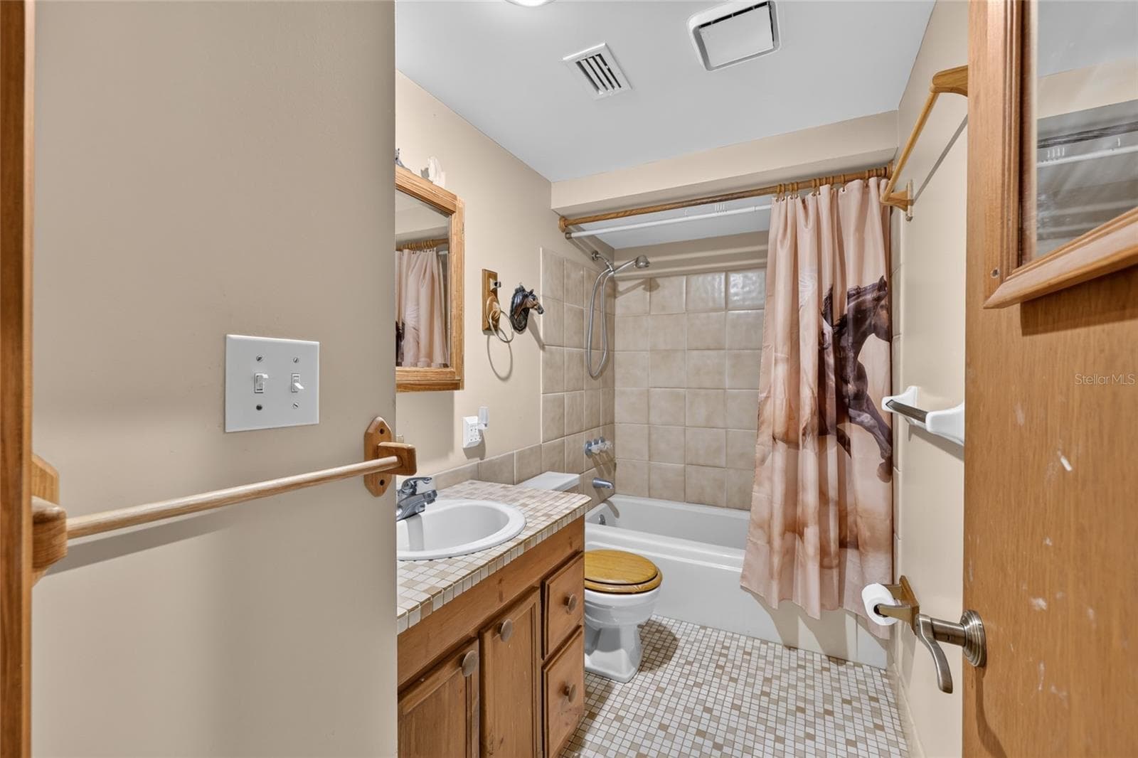 Guest bathroom - 20500 NW 27TH ST, MORRISTON