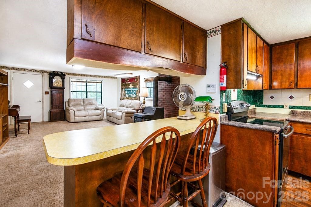 Single Family Residence at 901 Rufus Robinson Road, Sylva, photo 14 of 48