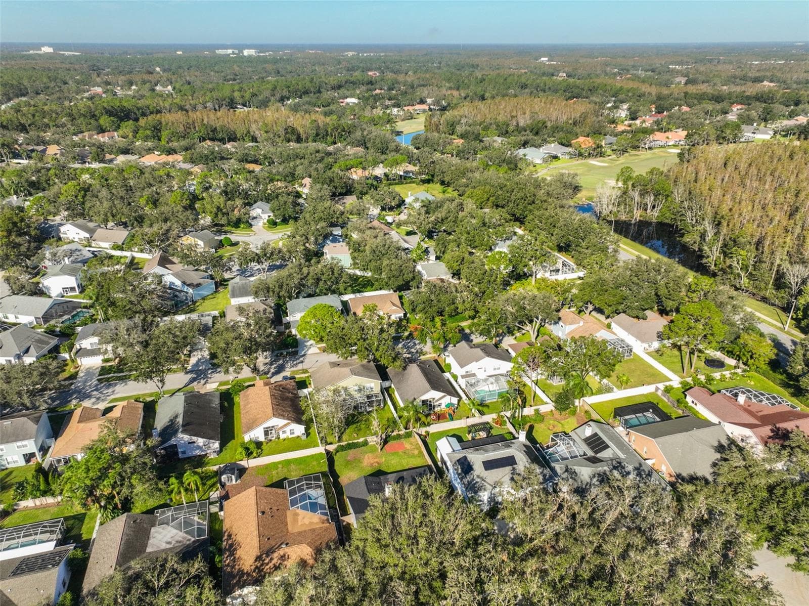 Single Family Residence at 9309 HAMPSHIRE PARK DR, TAMPA, photo 40 of 45