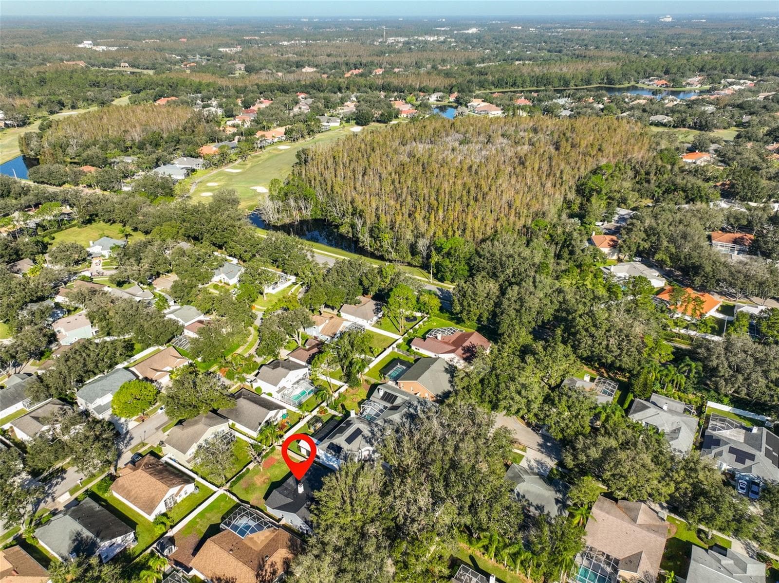 Single Family Residence at 9309 HAMPSHIRE PARK DR, TAMPA, photo 41 of 45