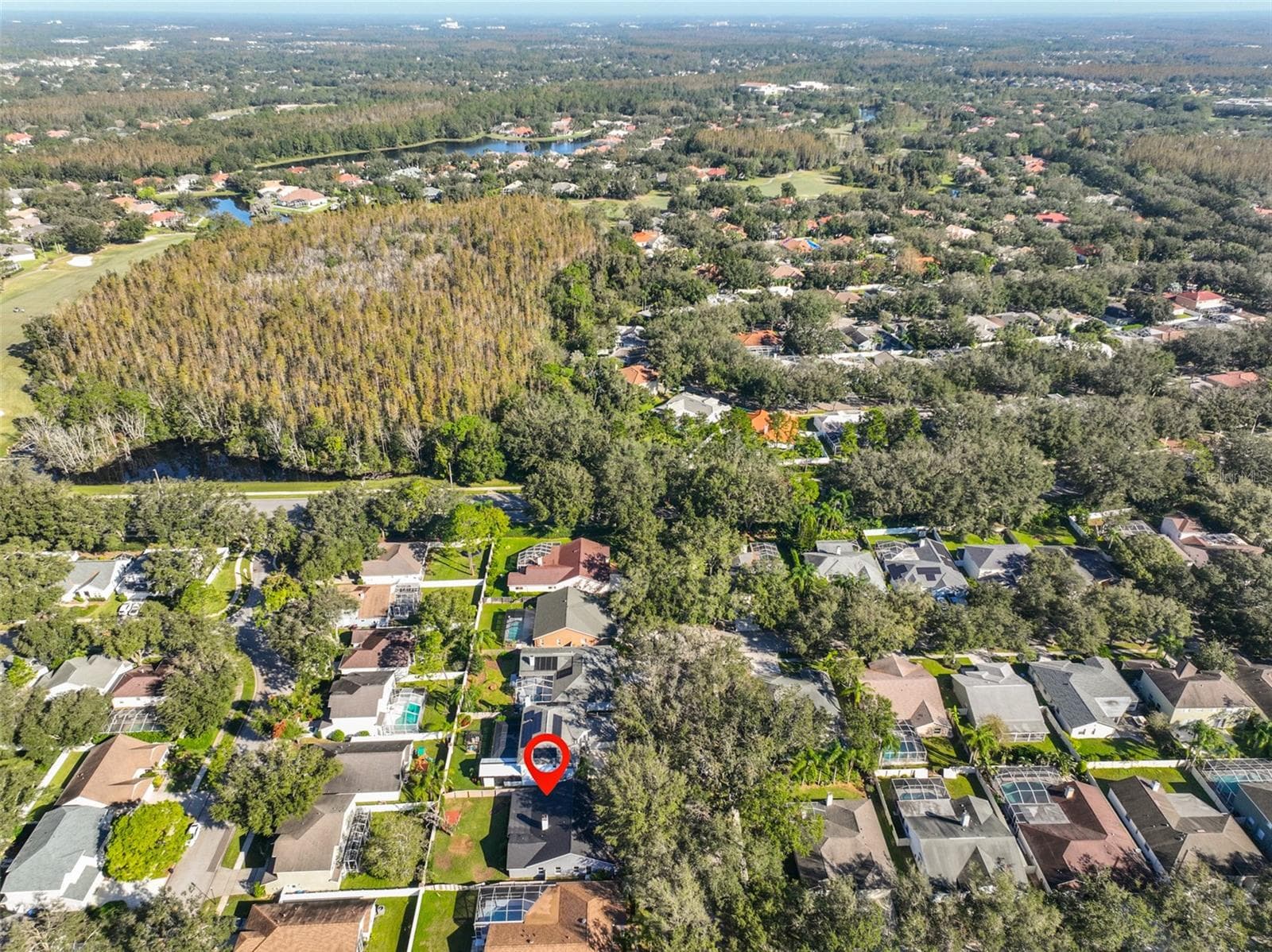 Single Family Residence at 9309 HAMPSHIRE PARK DR, TAMPA, photo 42 of 45
