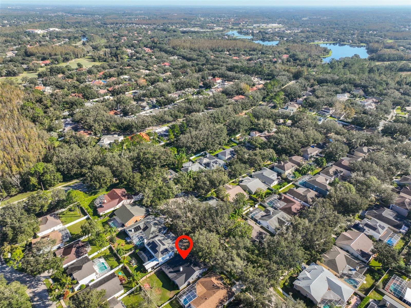 Single Family Residence at 9309 HAMPSHIRE PARK DR, TAMPA, photo 43 of 45