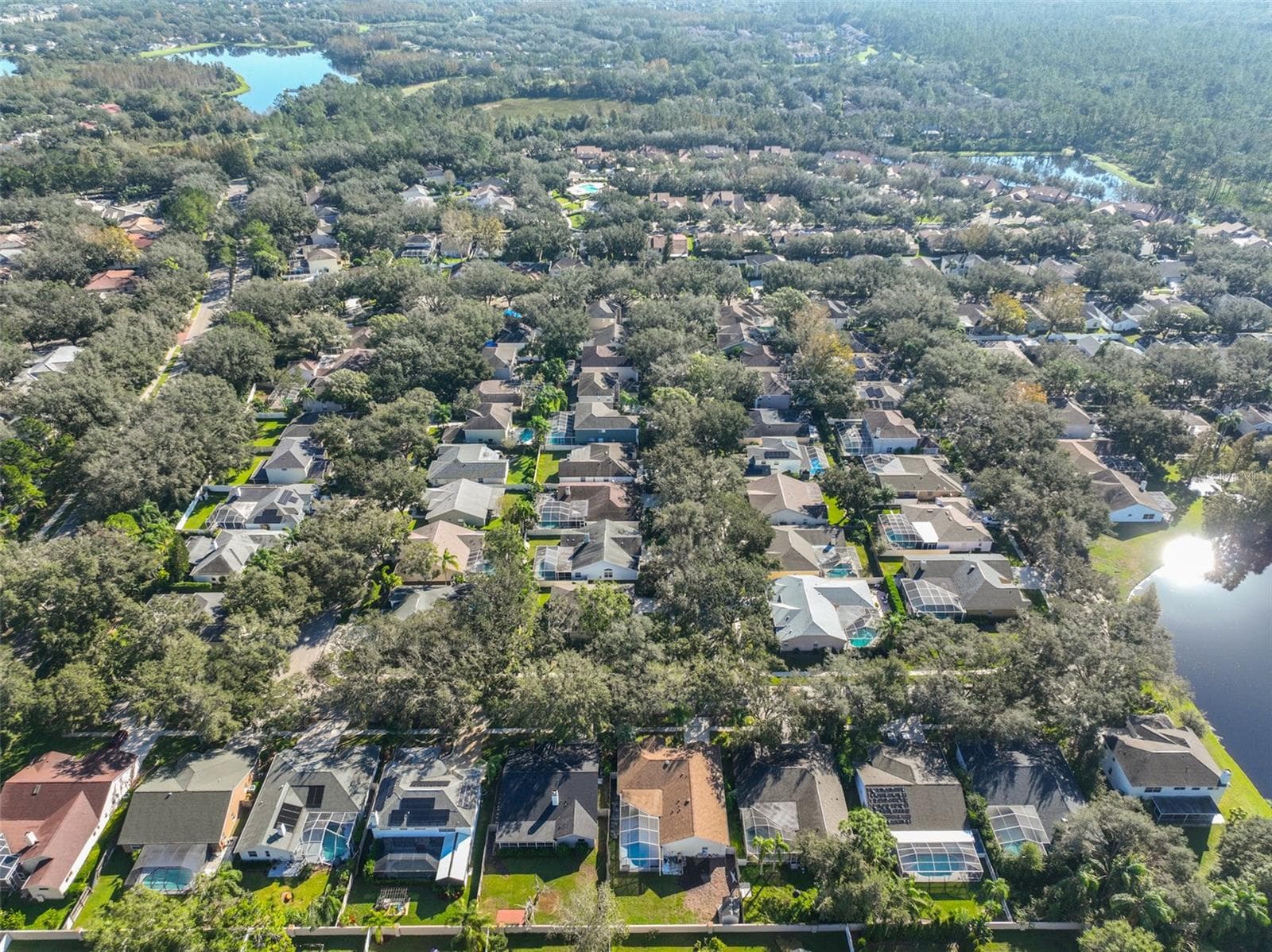 Single Family Residence at 9309 HAMPSHIRE PARK DR, TAMPA, photo 44 of 45