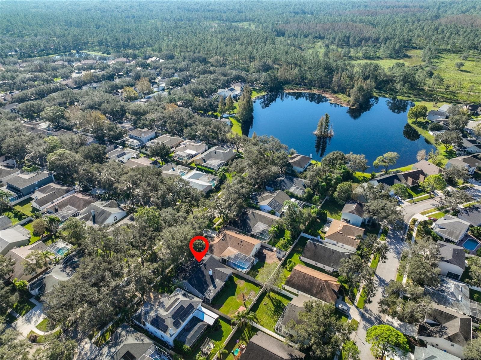 Single Family Residence at 9309 HAMPSHIRE PARK DR, TAMPA, photo 45 of 45