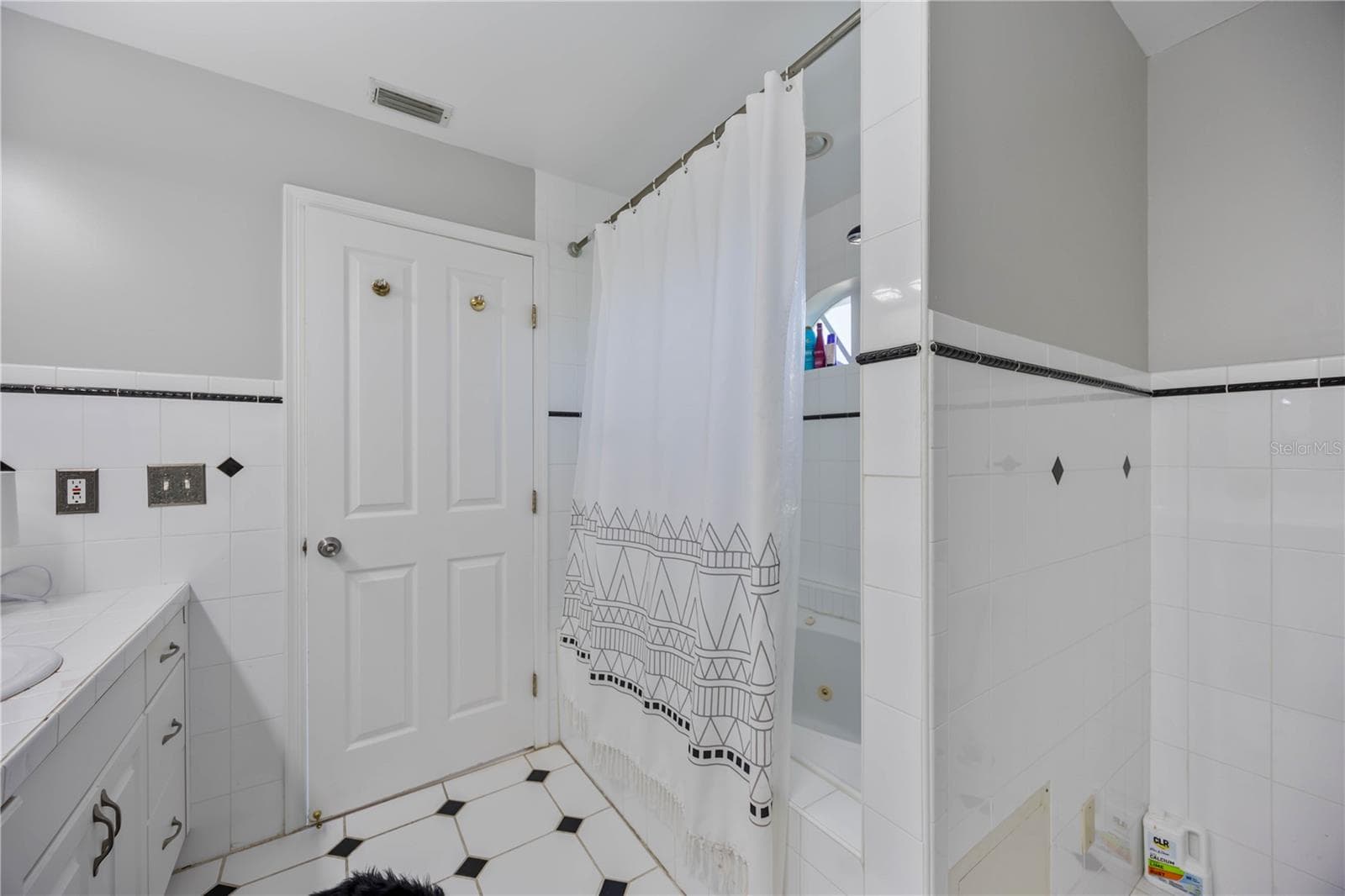 Single Family Residence at 13951 HARBOR VIEW DR, SEMINOLE, photo 22 of 30