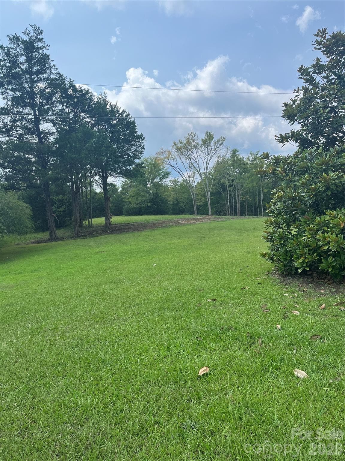 Acreage at 831 S Beersheba Road, Clover, photo 5 of 9