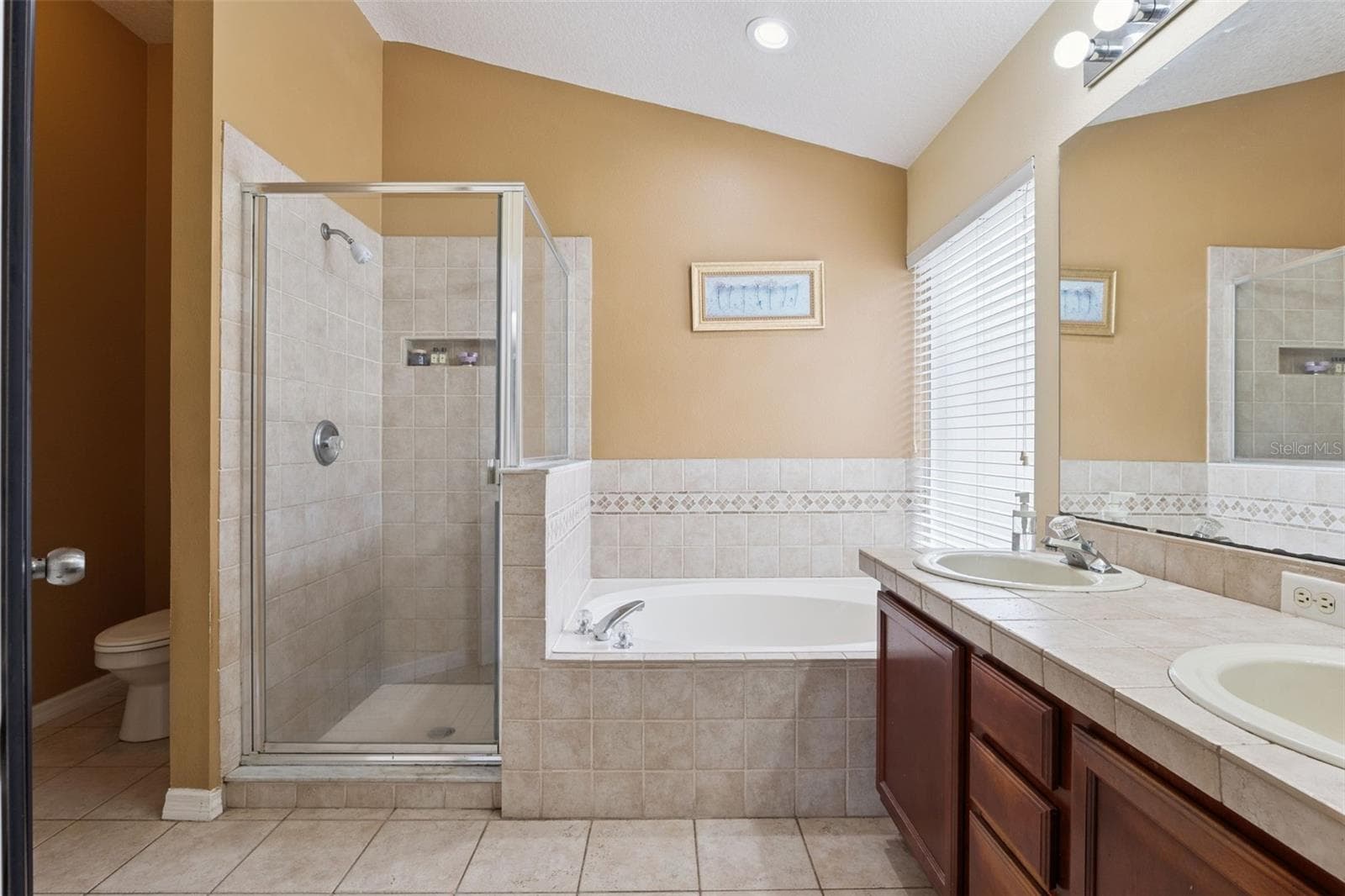 Single Family Residence at 2019 GOLDEN IVY WAY, APOPKA, photo 29 of 56