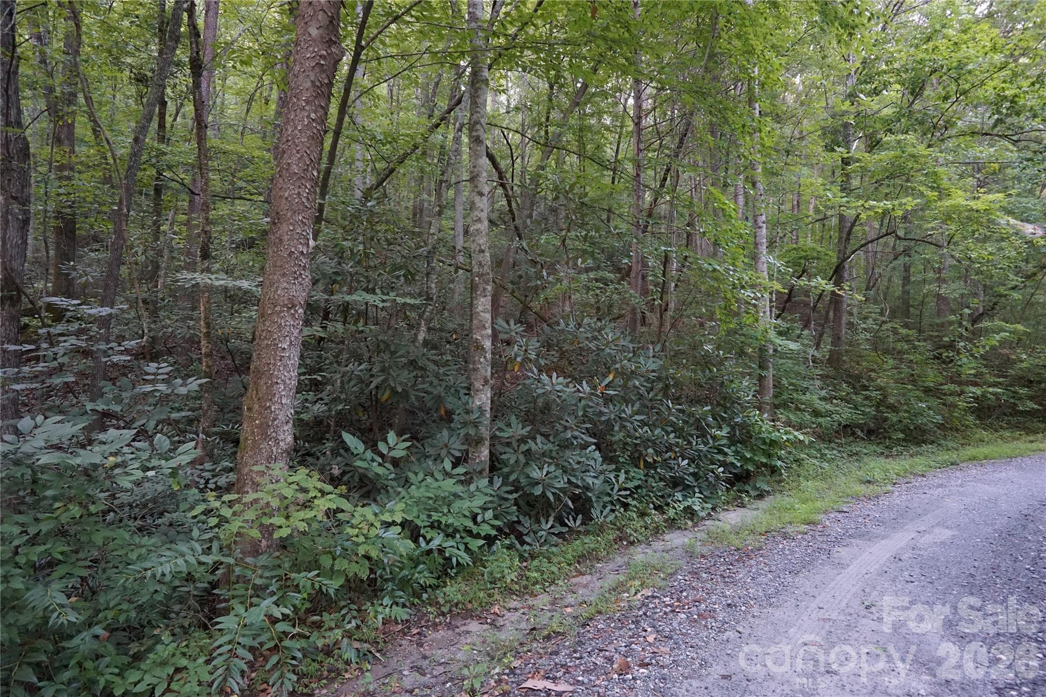 Acreage at 0 S Poplar Drive, Lake Lure, photo 3 of 19