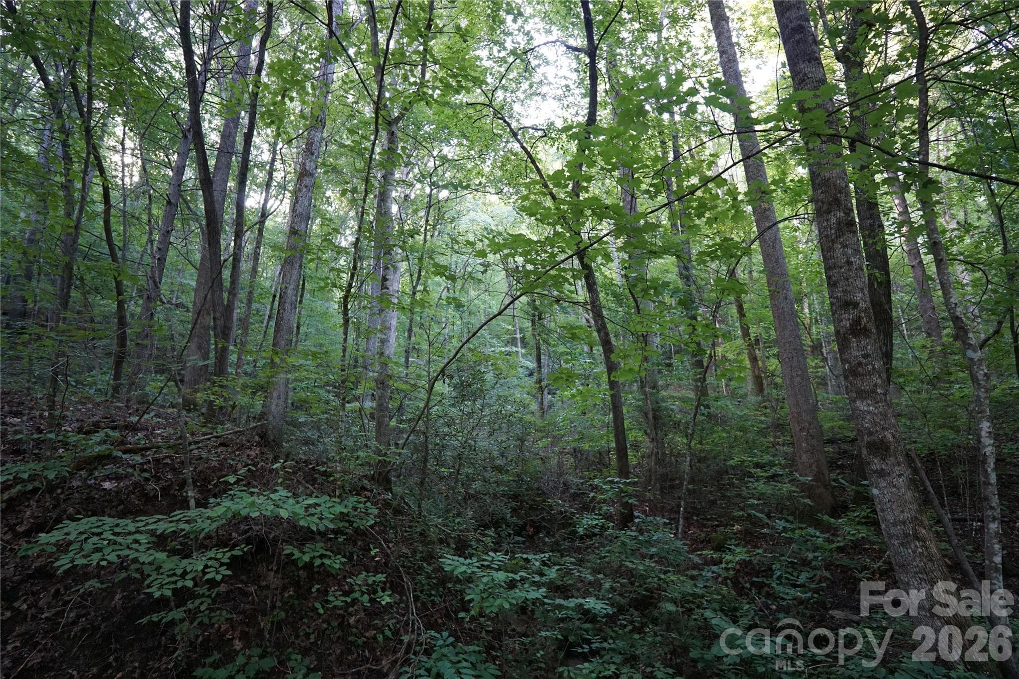 Acreage at 0 S Poplar Drive, Lake Lure, photo 14 of 19