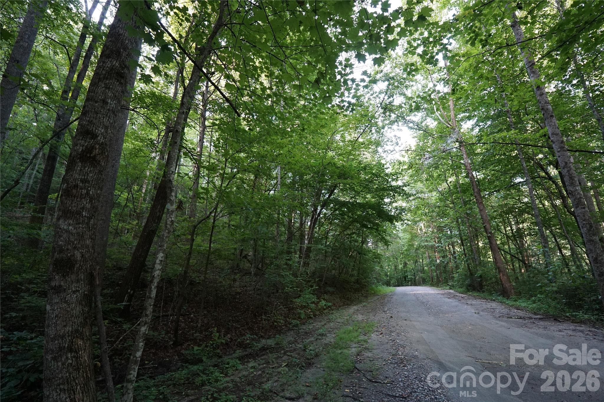 Acreage at Lake Lure, photo 2 of 19