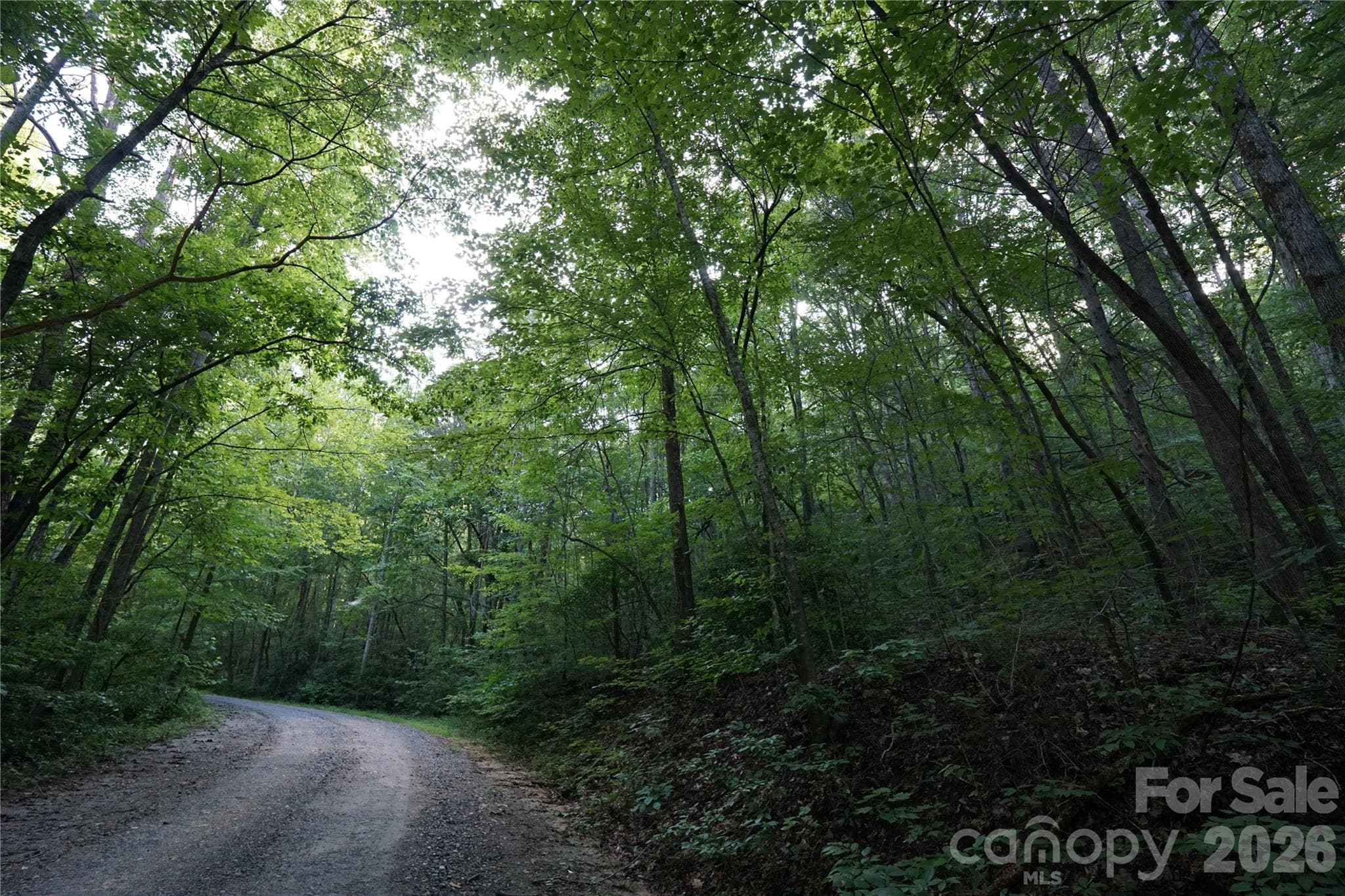 Acreage at 0 S Poplar Drive, Lake Lure, photo 15 of 19