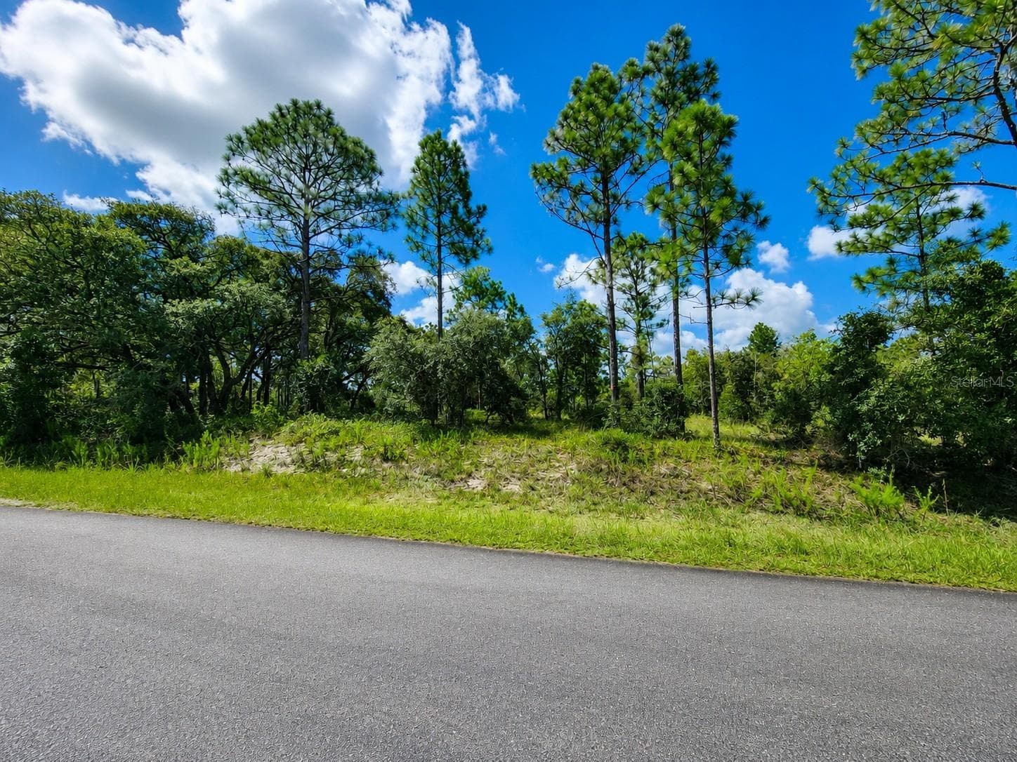 Land at SW NECTARINE LANE, DUNNELLON, photo 3 of 3