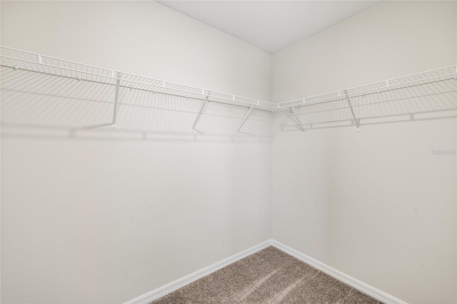 Single Family Residence at 14886 SUMMER BRANCH DR, LITHIA, photo 31 of 51