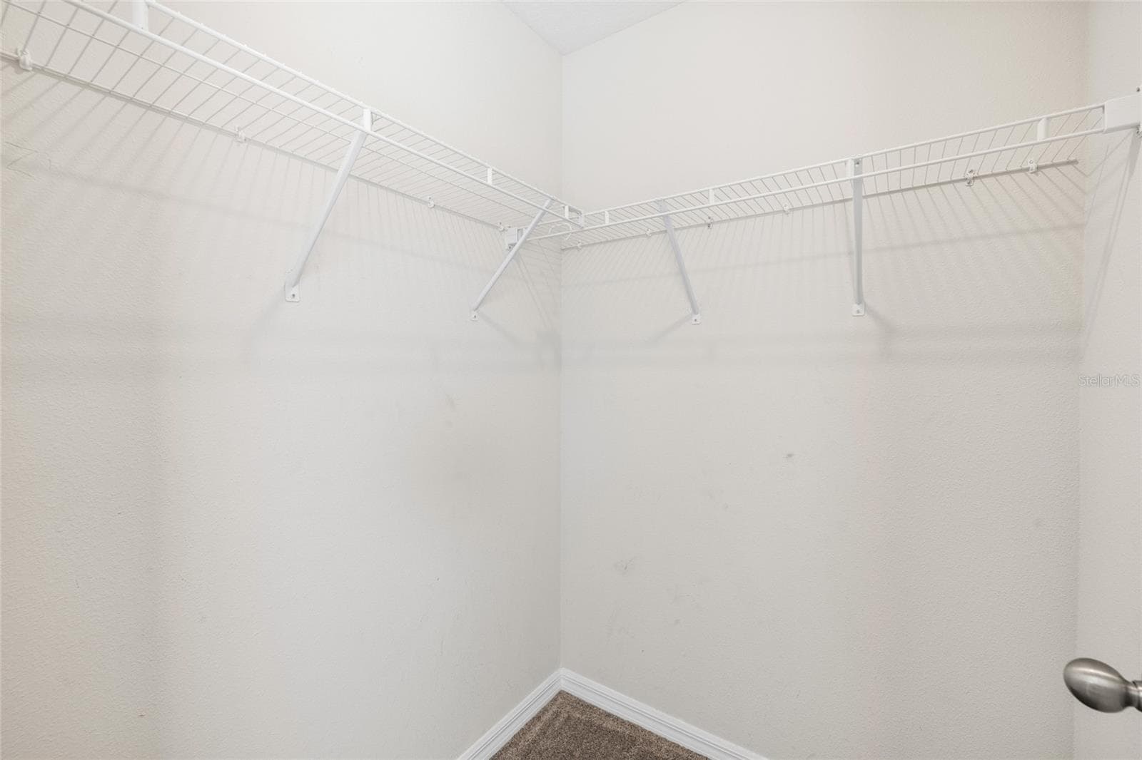 Single Family Residence at 14886 SUMMER BRANCH DR, LITHIA, photo 41 of 51