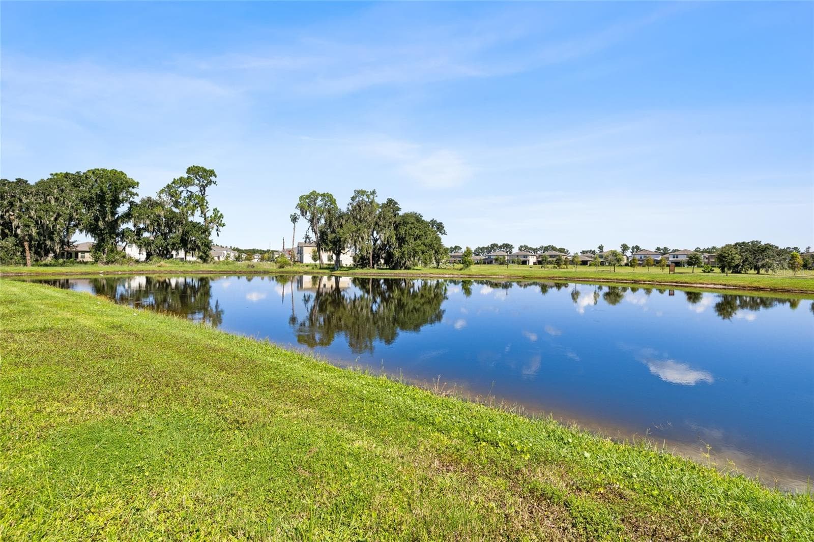 Single Family Residence at 14886 SUMMER BRANCH DR, LITHIA, photo 43 of 51