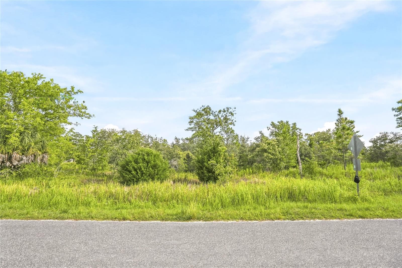 Land at 0 ESTER DR, BROOKSVILLE, photo 3 of 11