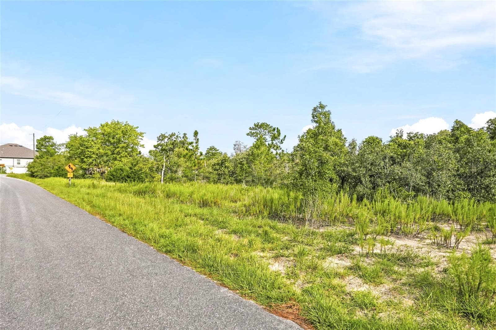 Land at 0 ESTER DR, BROOKSVILLE, photo 4 of 11