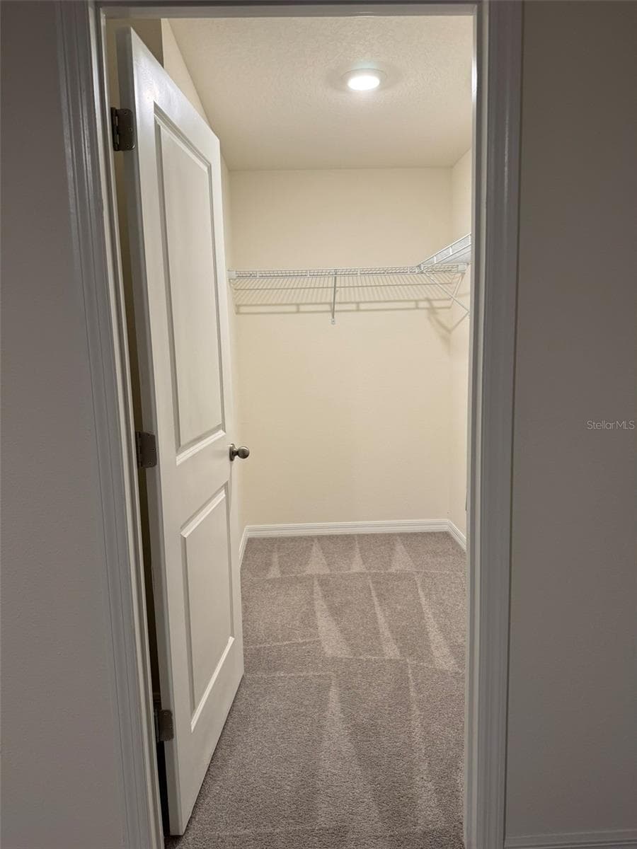 Master Walk In Closet - 1663 HAZY SEA DR, PLANT CITY