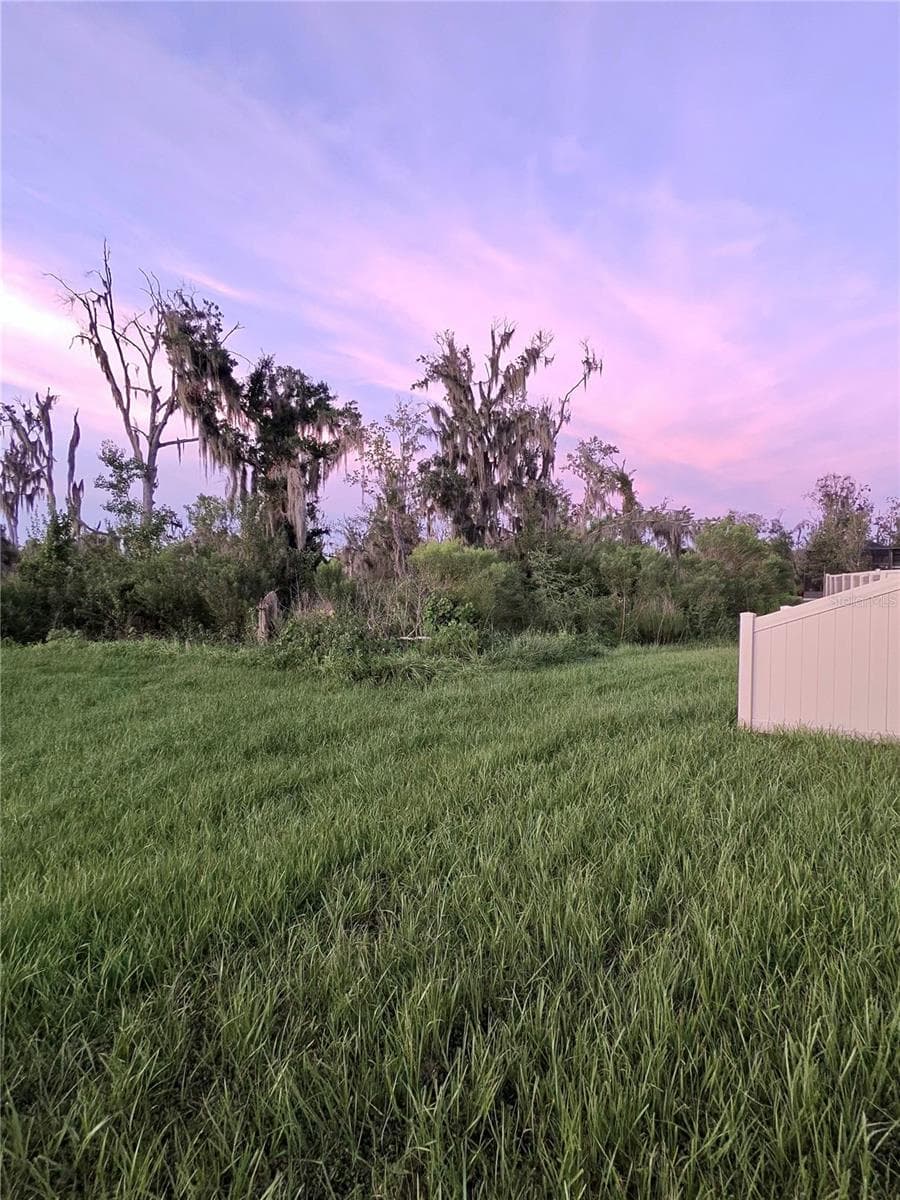Conservation - 1663 HAZY SEA DR, PLANT CITY