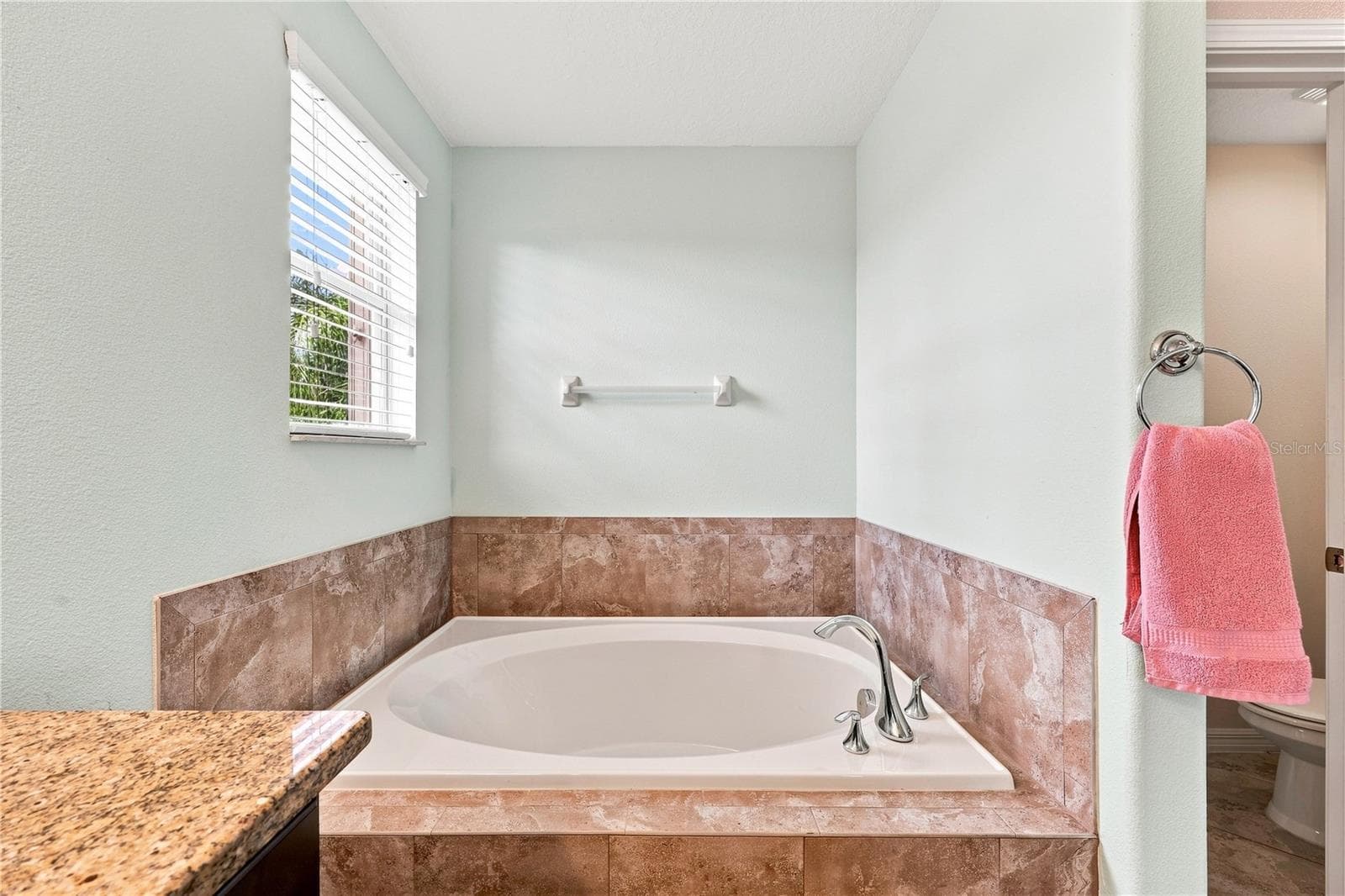 Graden Tub! - 16613 MYRTLE SAND DR, WIMAUMA