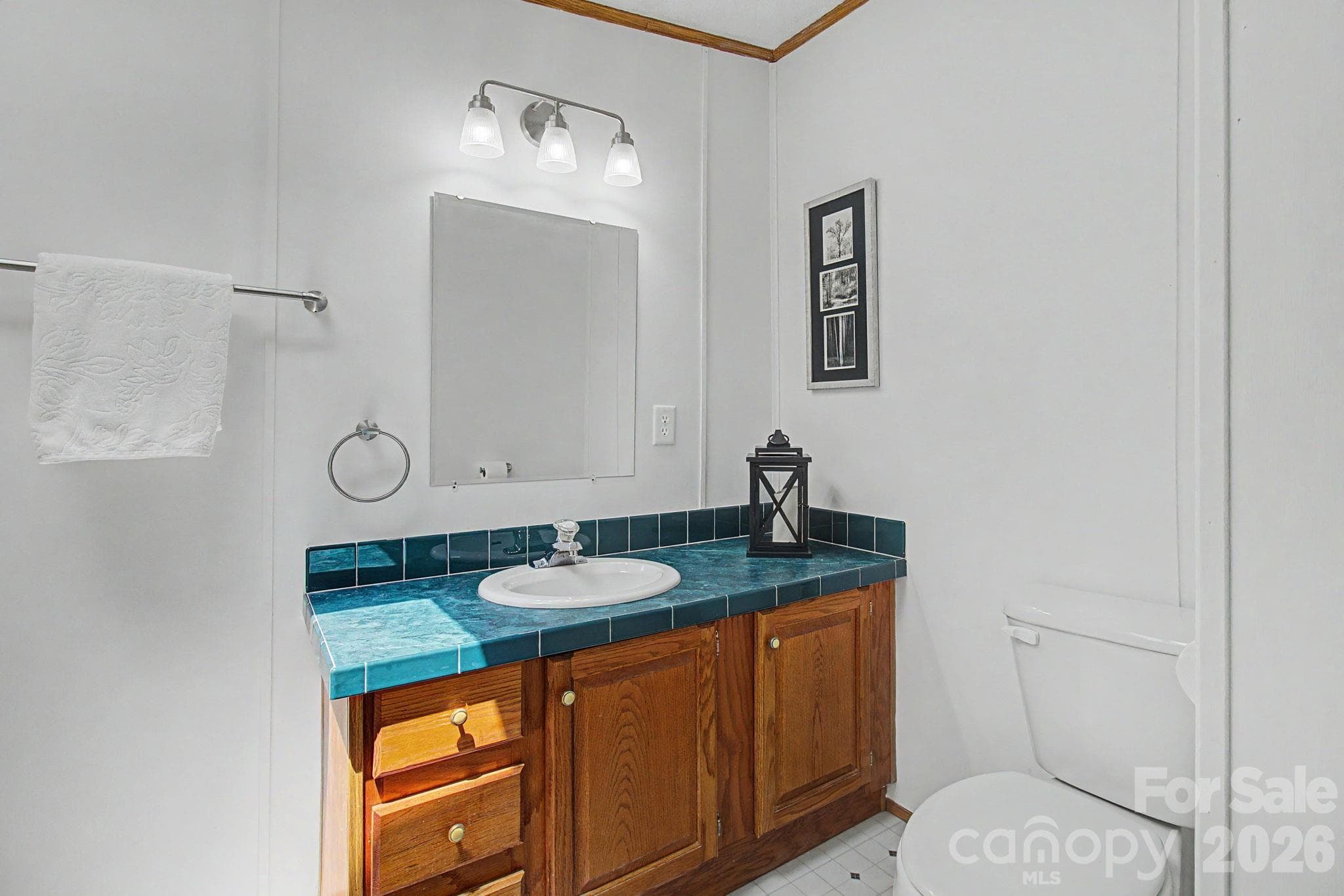 Single Family Residence at 204 Red Birch Court, Hendersonville, photo 20 of 48