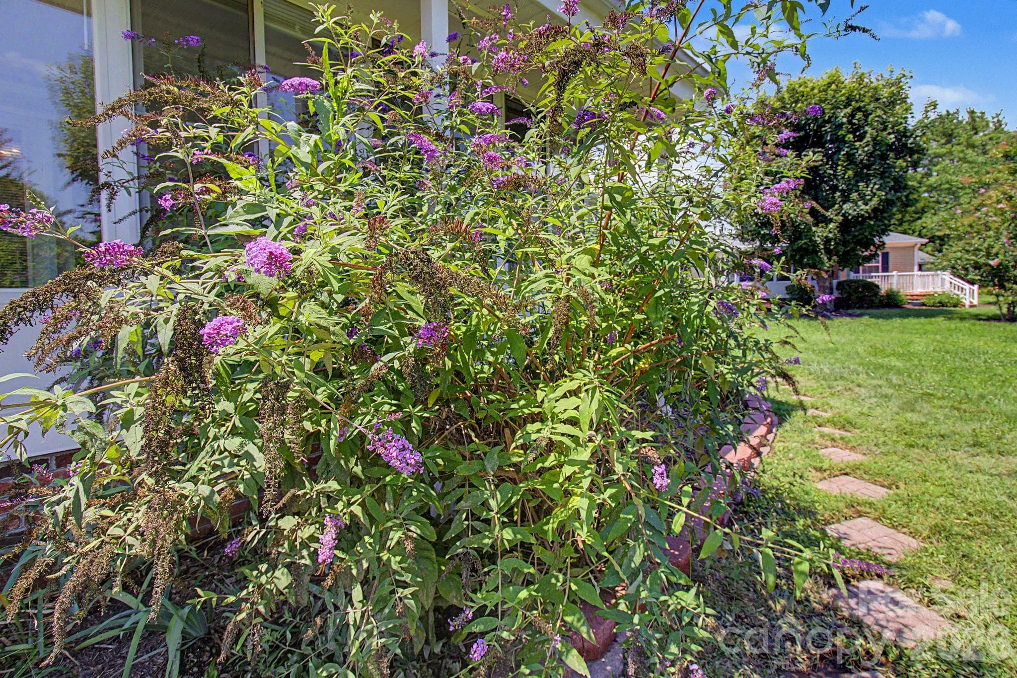 Level yard and natural surroundings. - 204 Red Birch Court, Hendersonville