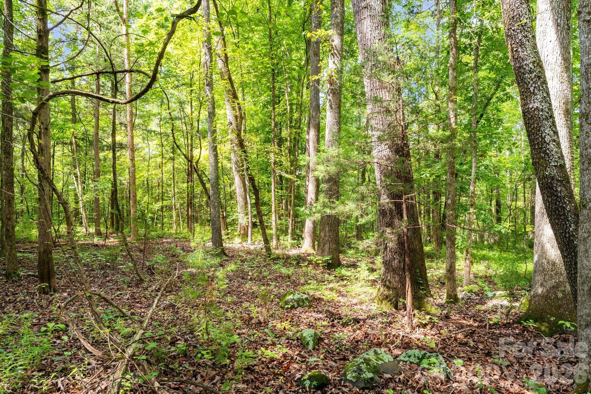 Acreage at 3312 McConnells Highway W, Sharon, photo 14 of 48