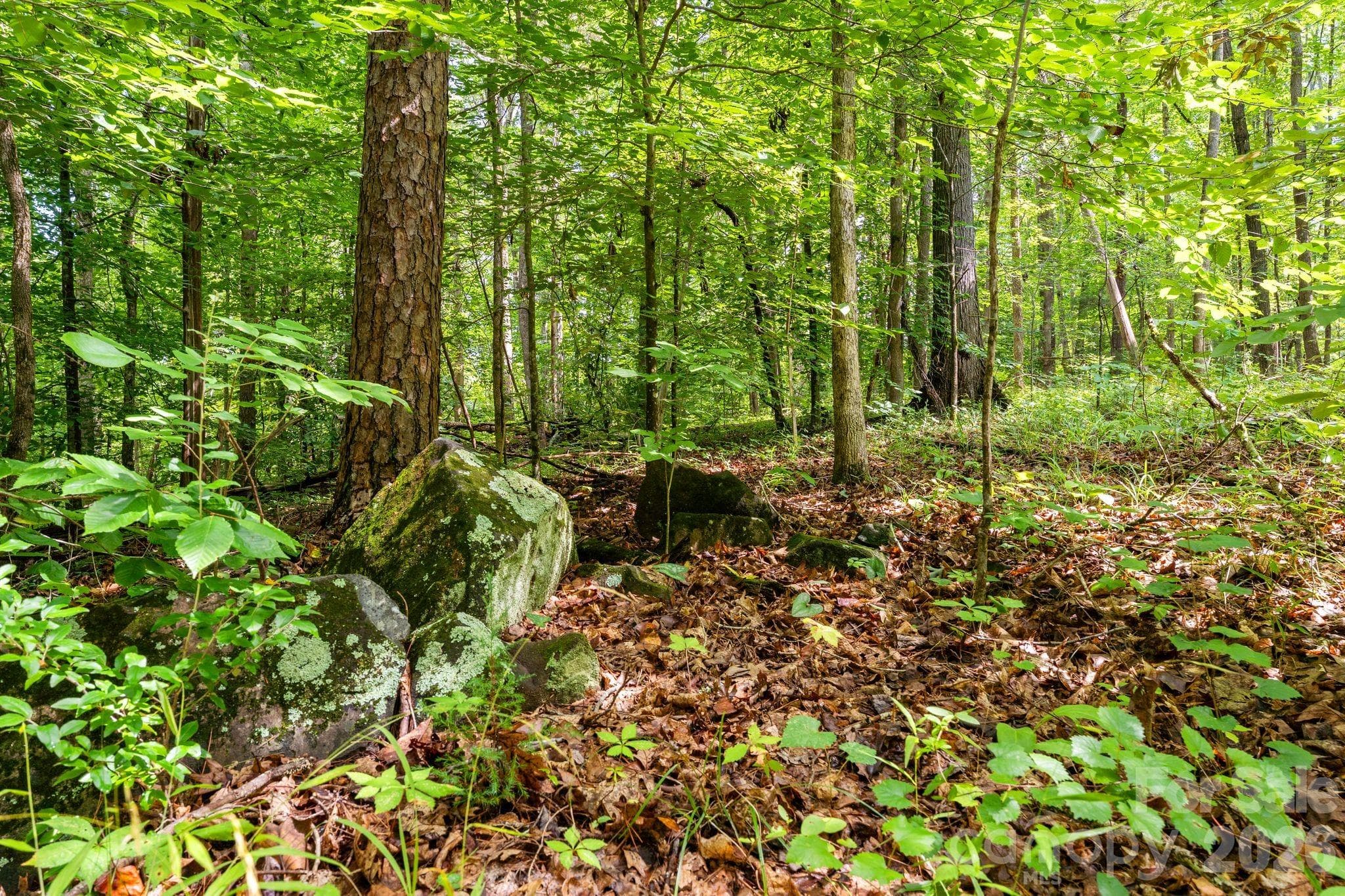 Acreage at 3312 McConnells Highway W, Sharon, photo 15 of 48