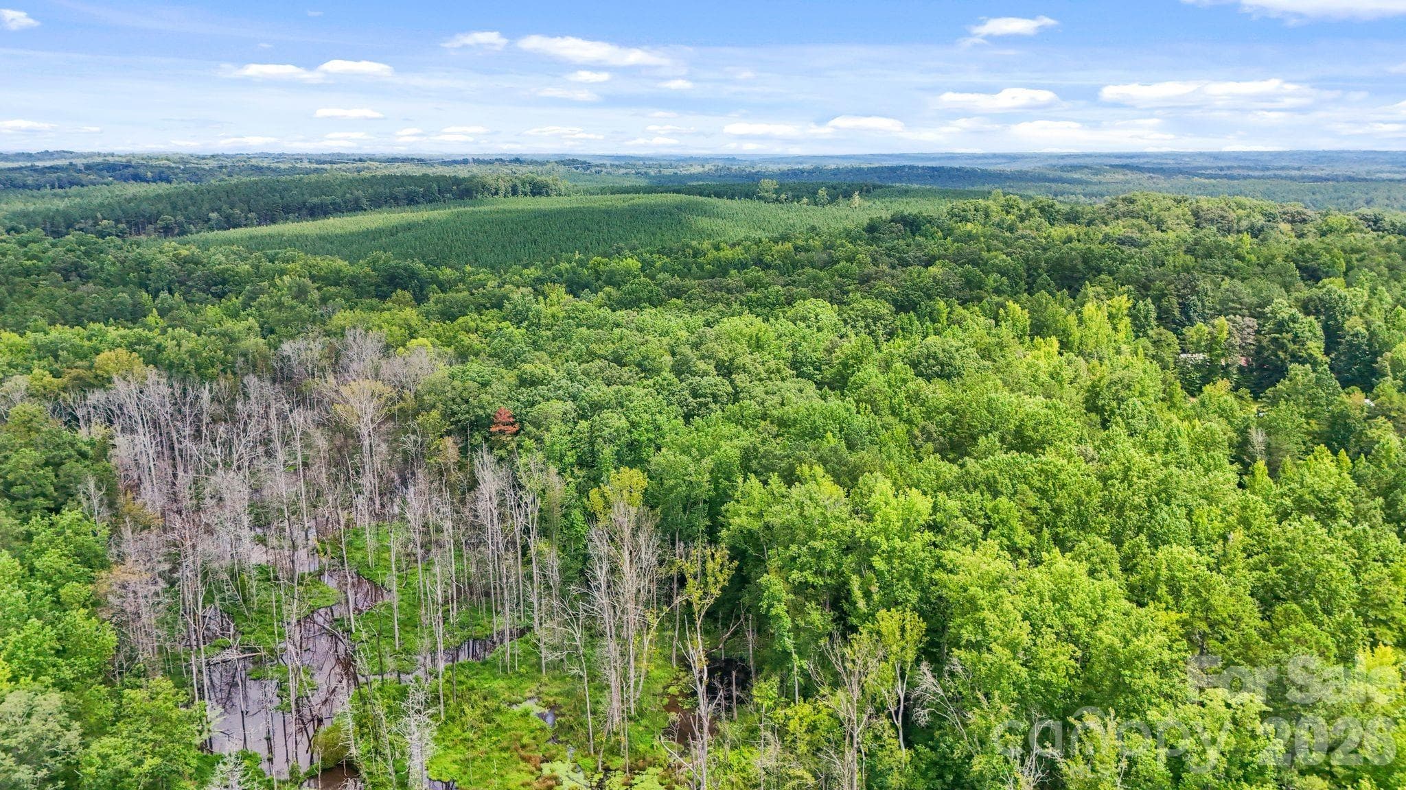 Acreage at 3312 McConnells Highway W, Sharon, photo 30 of 48