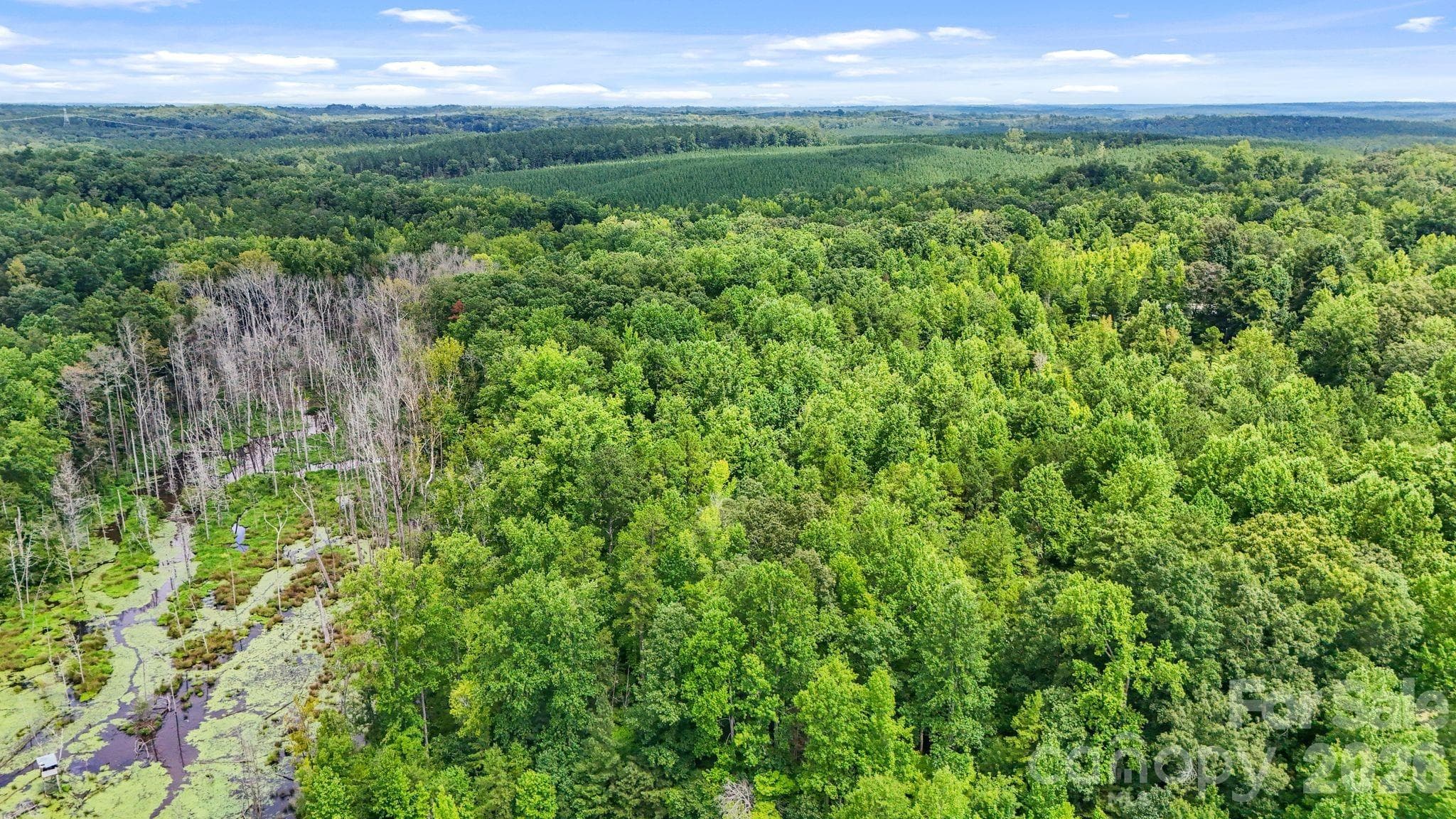 Acreage at 3312 McConnells Highway W, Sharon, photo 31 of 48