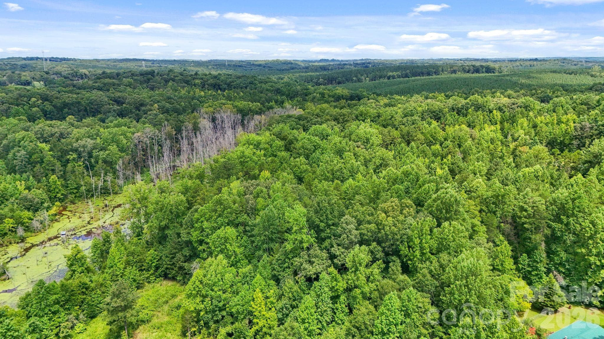 Acreage at 3312 McConnells Highway W, Sharon, photo 32 of 48