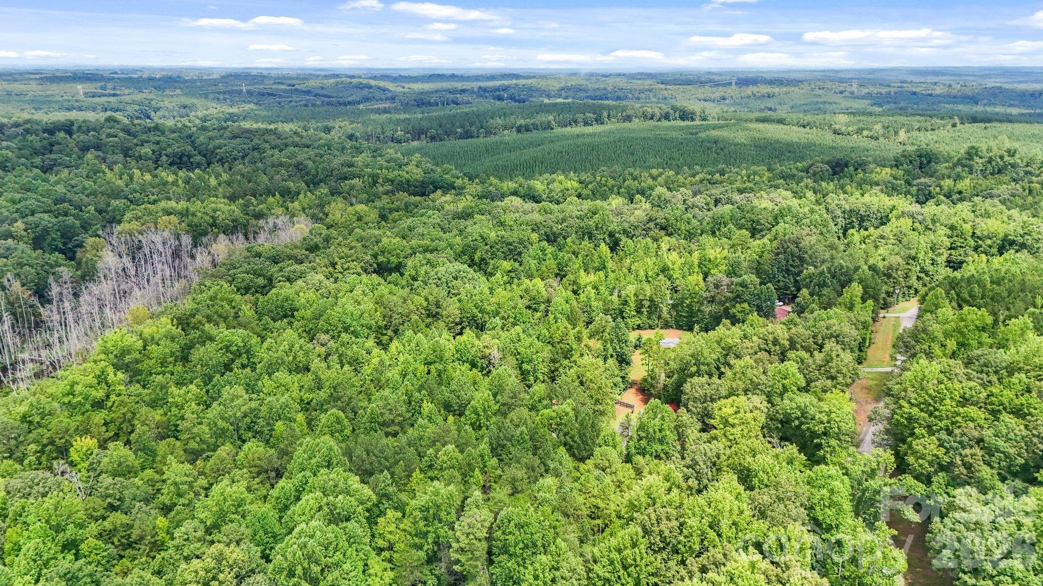 Acreage at 3312 McConnells Highway W, Sharon, photo 33 of 48