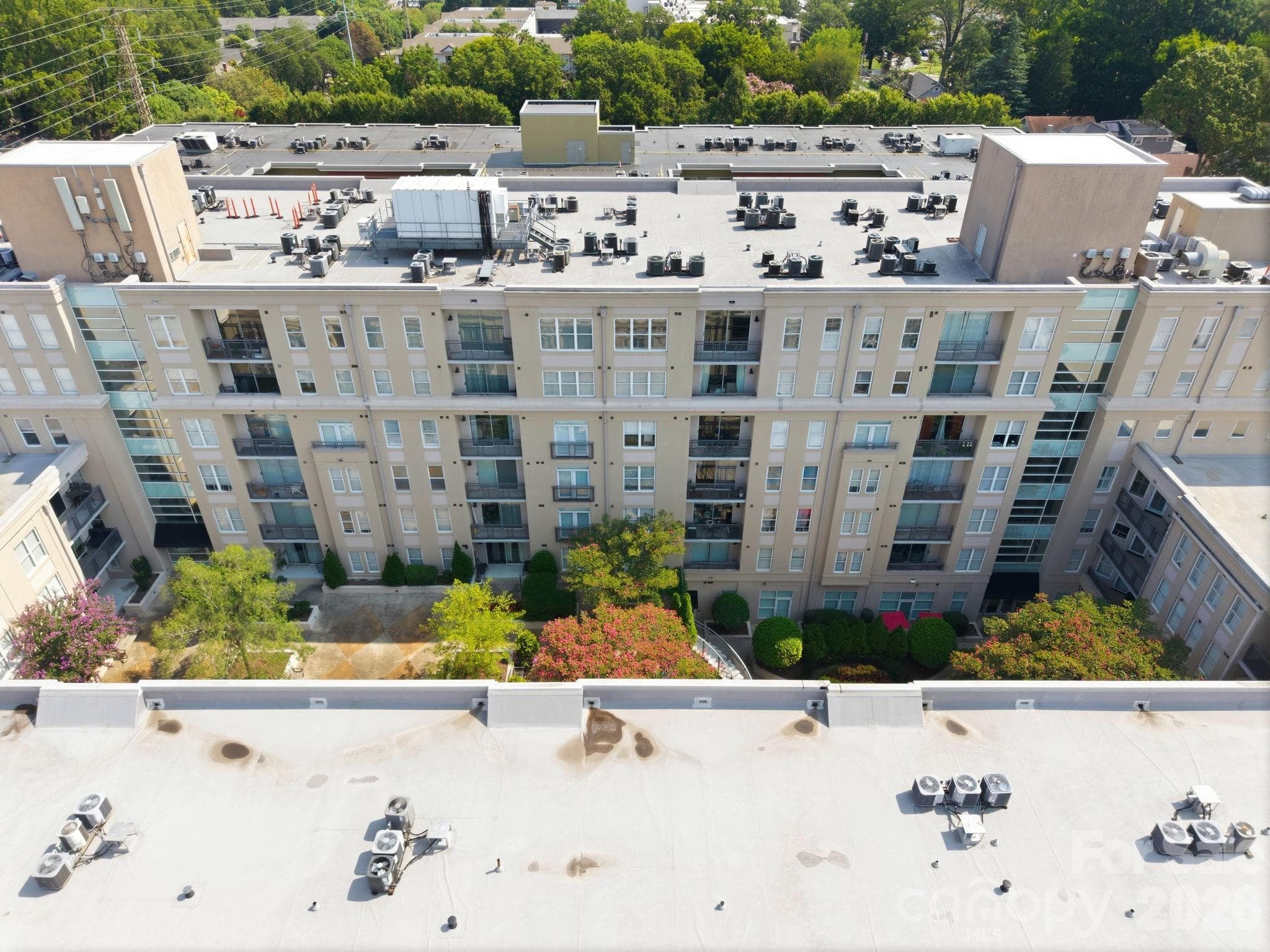 Condominium at 1315 East Boulevard, Charlotte, photo 31 of 33