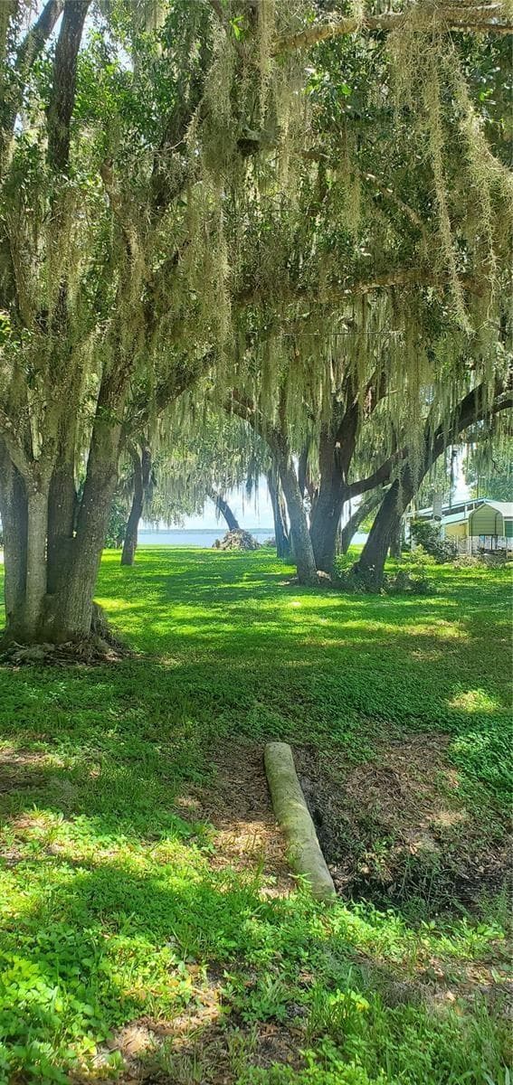 Land at BEACH PARKWAY, LAKE WALES, photo 5 of 34