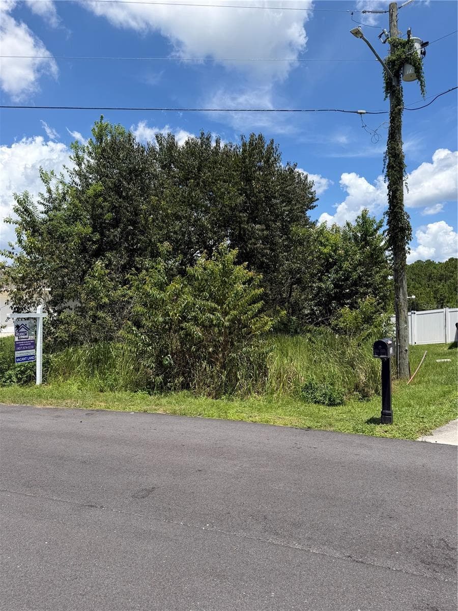 Land at 2159 RIO GRANDE CANYON LOOP, POINCIANA, photo 4 of 4