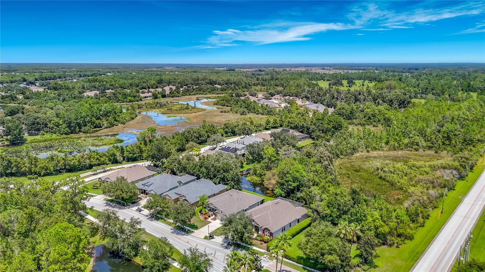 Single Family Residence at 7220 NIGHT HERON DR, LAND O LAKES, photo 3 of 92