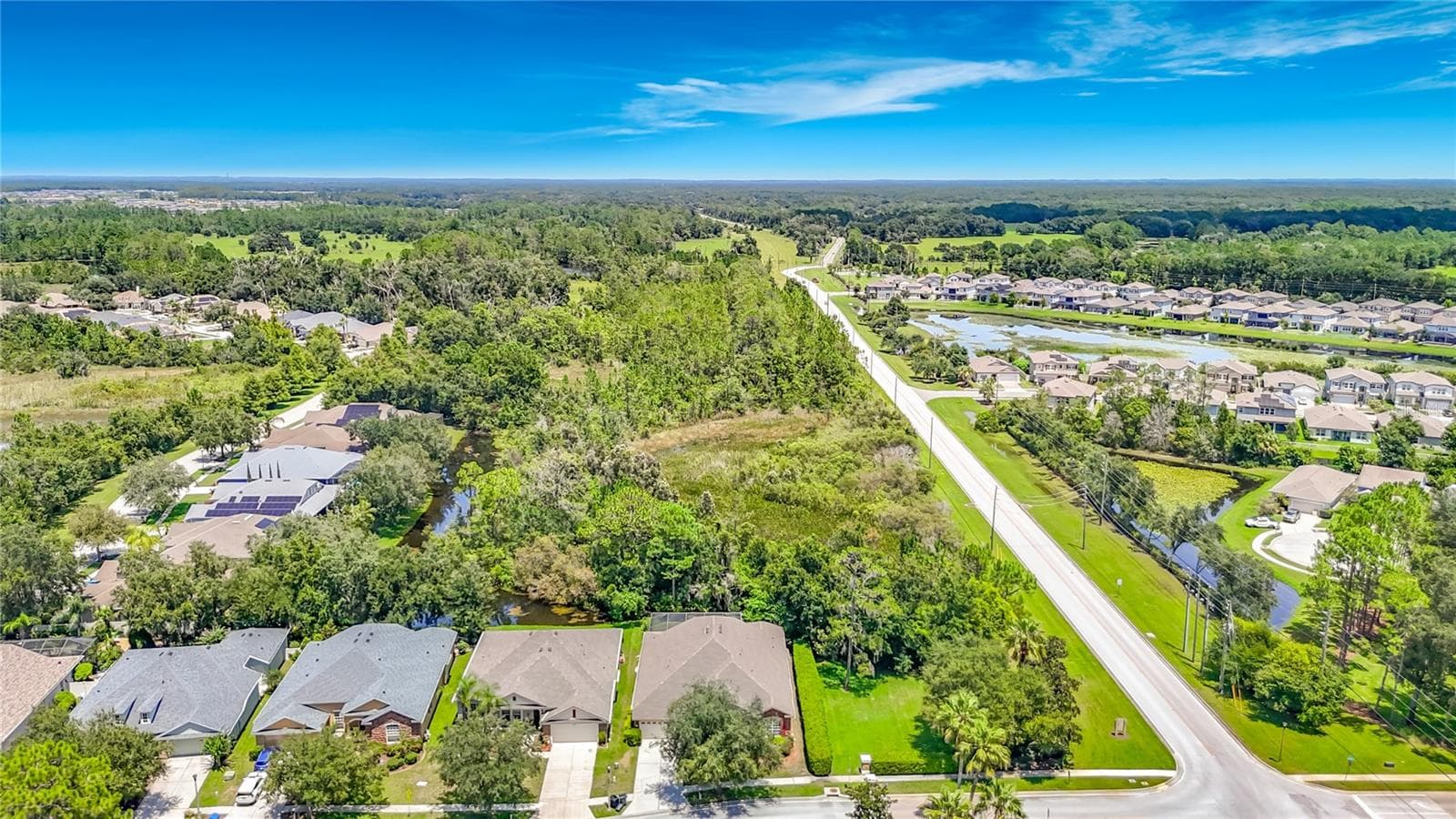 Single Family Residence at 7220 NIGHT HERON DR, LAND O LAKES, photo 4 of 92