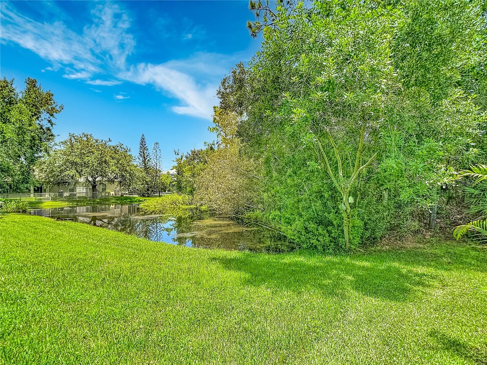 Single Family Residence at 7220 NIGHT HERON DR, LAND O LAKES, photo 89 of 92