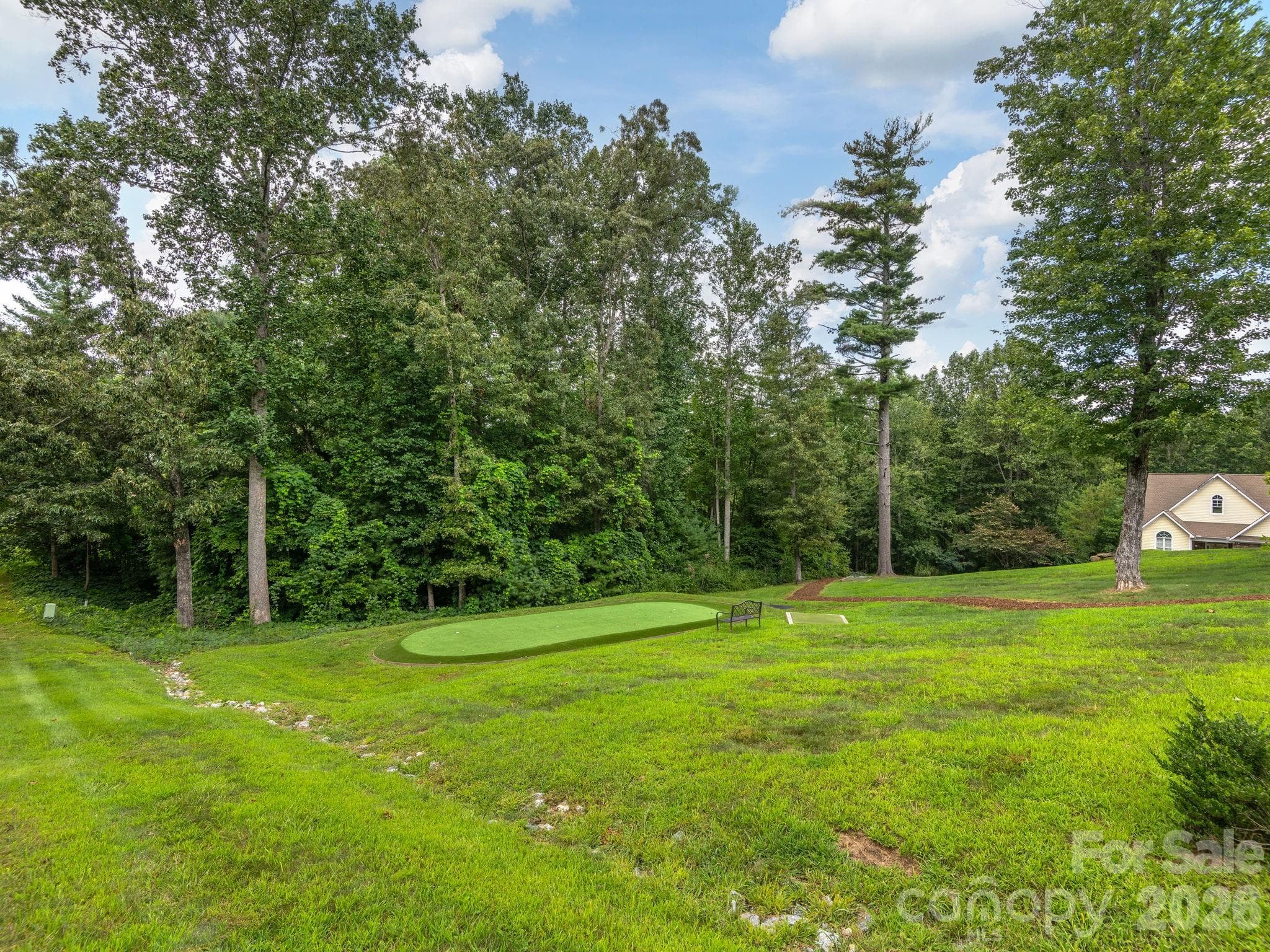 View of lower yard space with installed putting green and T-boxes. - 248 Wisdom Cove Road, Flat Rock