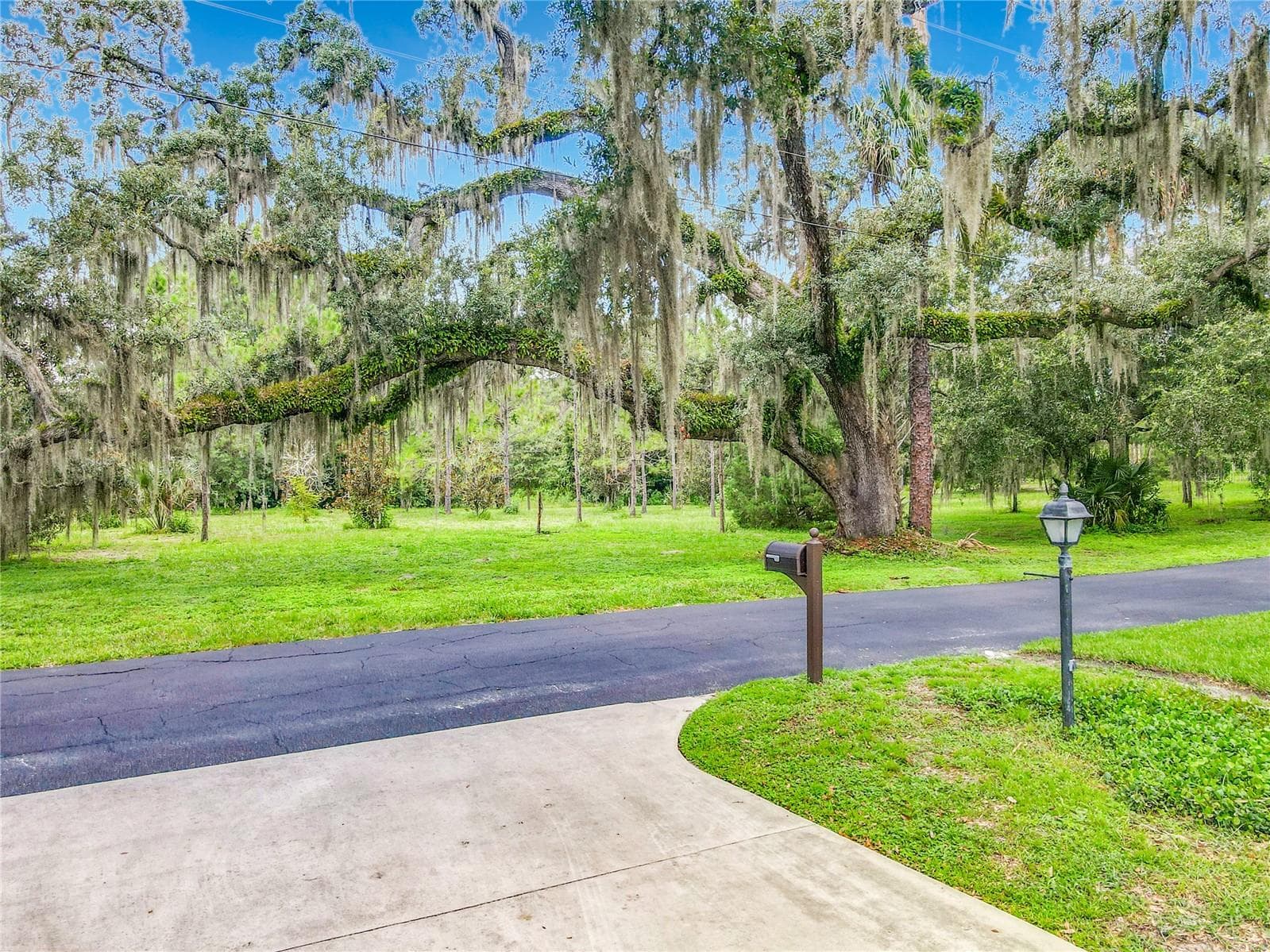 front yard greenspace views. beautiful live oak trees. - 2269 COUNTRY CLUB DR, DELAND
