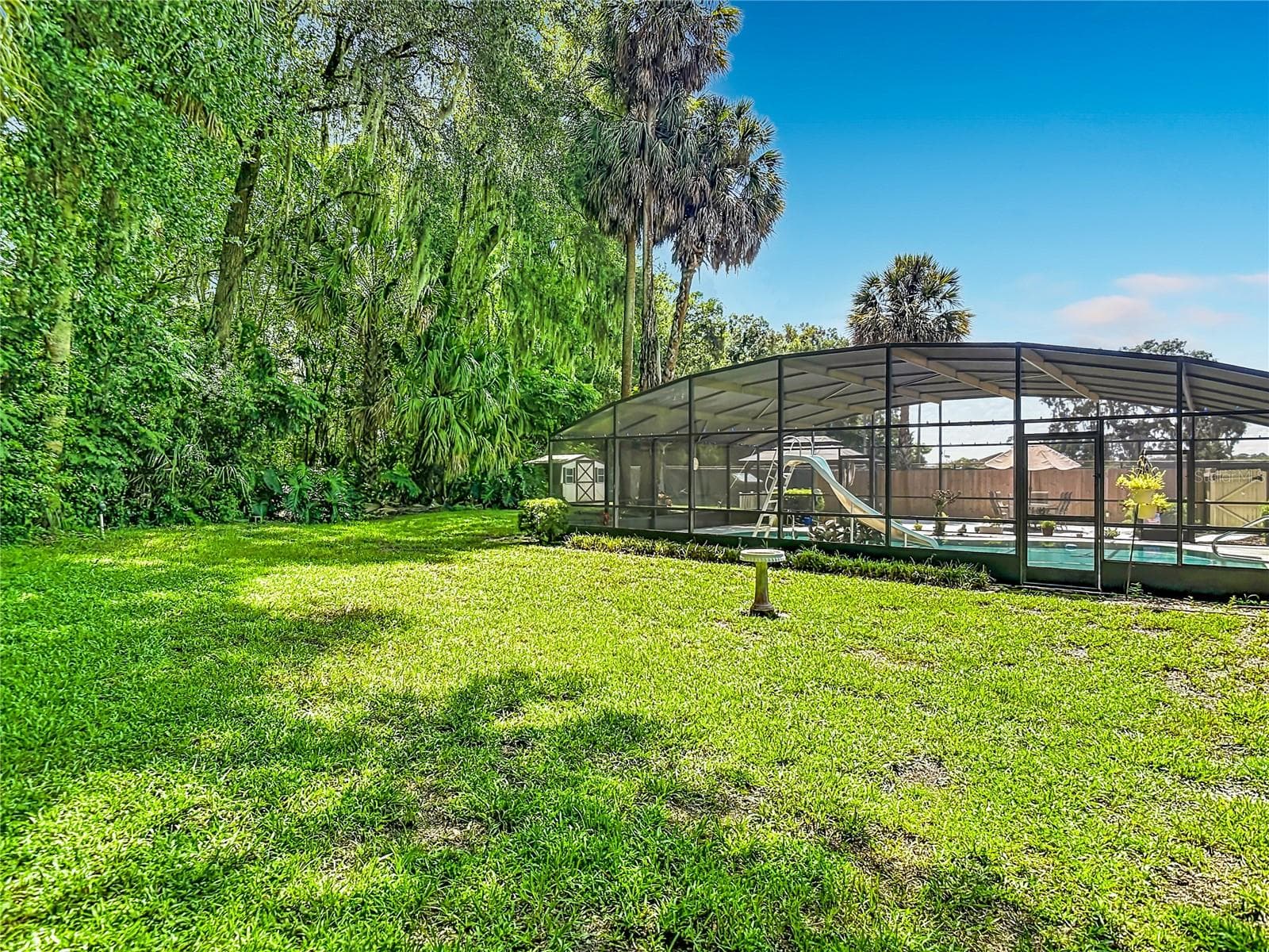 Wooded backyard - 2269 COUNTRY CLUB DR, DELAND