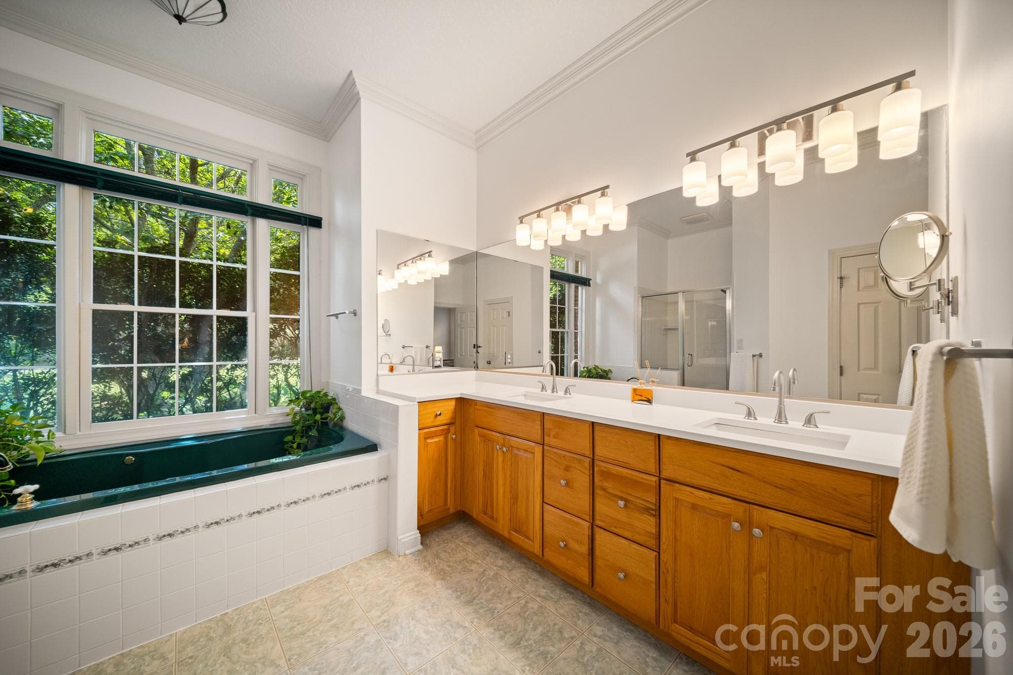 Huge Primary En-Suite Bathroom - 210 Clear Vista Circle, Asheville