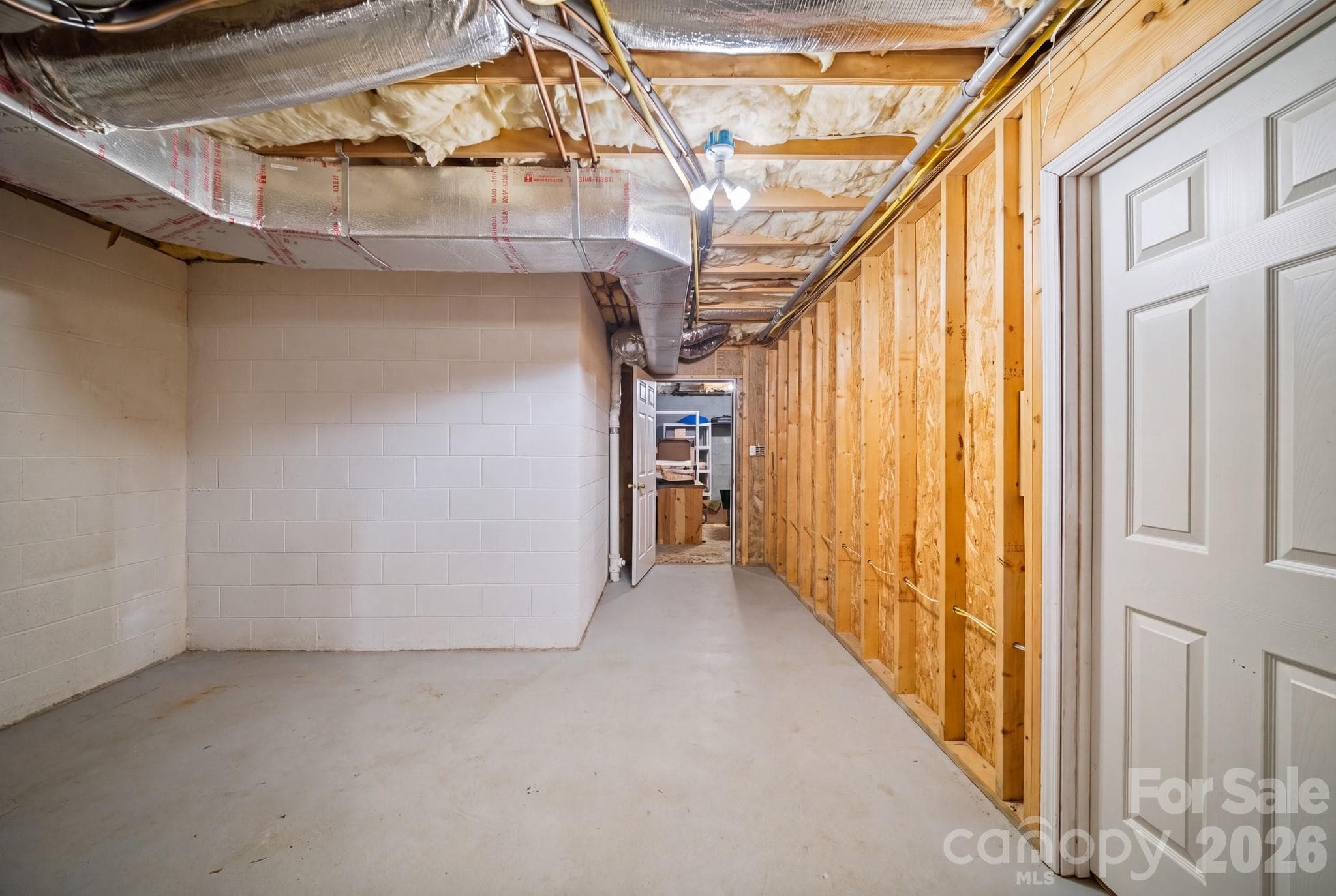 Unfinished Lower Level Space - 210 Clear Vista Circle, Asheville