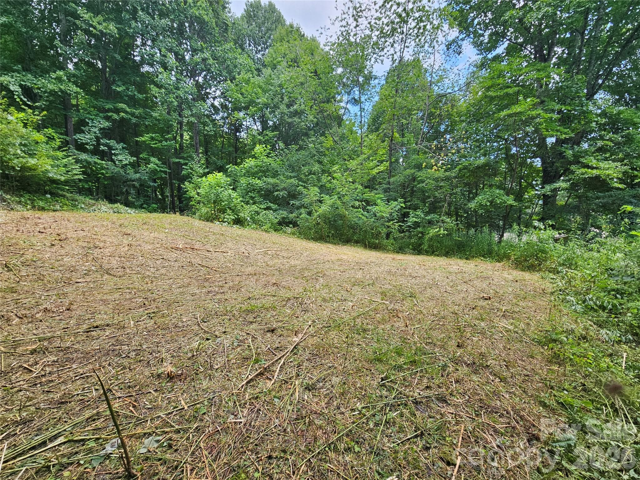 Below house pad, would be back yard before pond - 638 Crystal Tree Drive, Waynesville