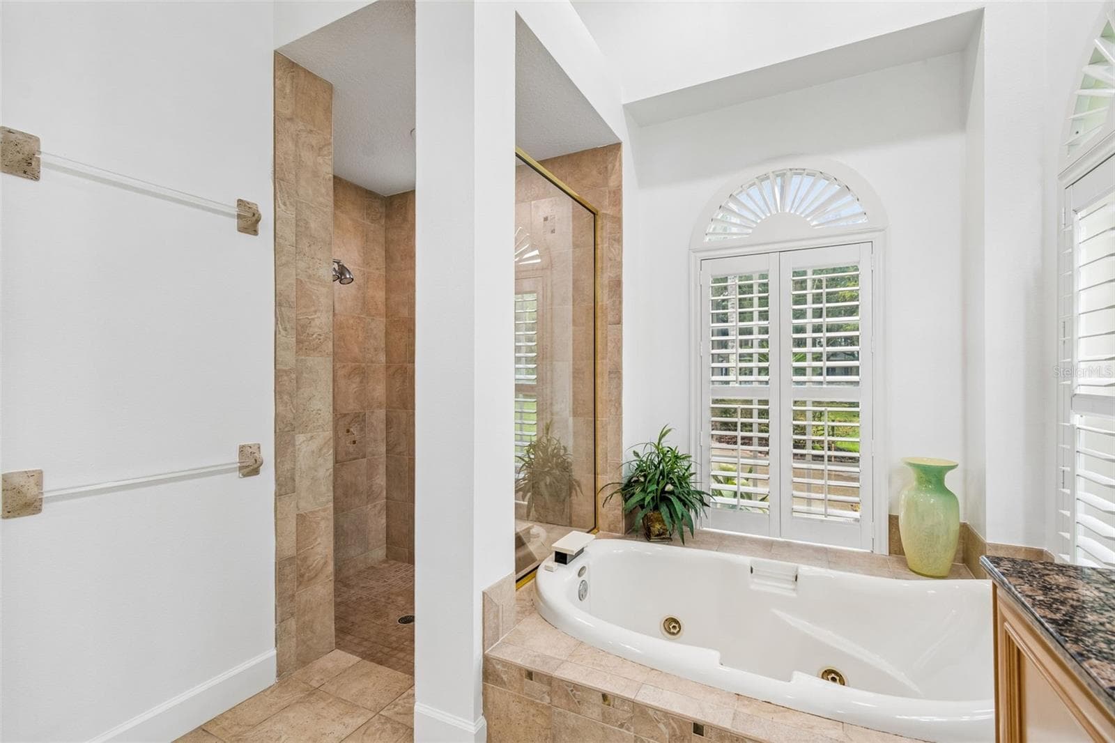 Jacuzzi Tub & Step In Shower - 21105 LAKE VIENNA DR, LAND O LAKES