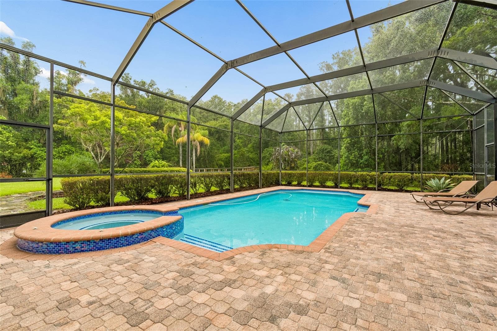 Resurfaced Pool & Spa - 21105 LAKE VIENNA DR, LAND O LAKES