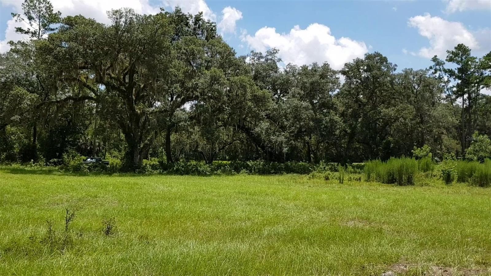 Land at 9438 SE HWY 464C SE, OCKLAWAHA, photo 6 of 12
